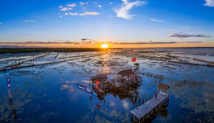 Phá Tam Giang được biết đến là đầm nước lợ lớn nhất Đông Nam Á với thảm thực vật vô cùng phong phú và đặc biệt.