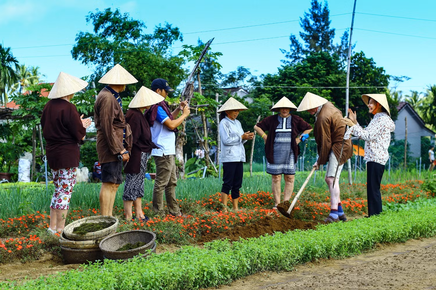 Một ngày làm nông dân của du khách nước ngoài.