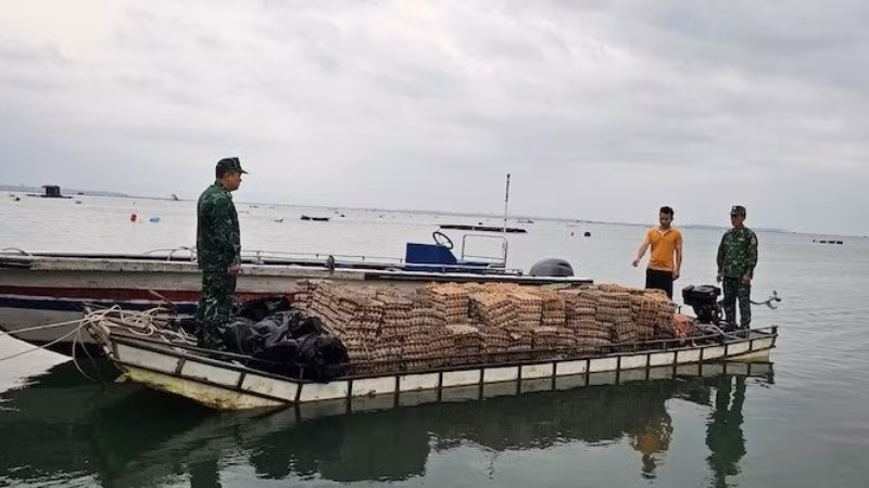Phương tiện vận chuyển trái phép trứng gia cầm nhập lậu bị Bộ đội Biên phòng Quảng Ninh phát hiện bắt giữ, năm 2024.