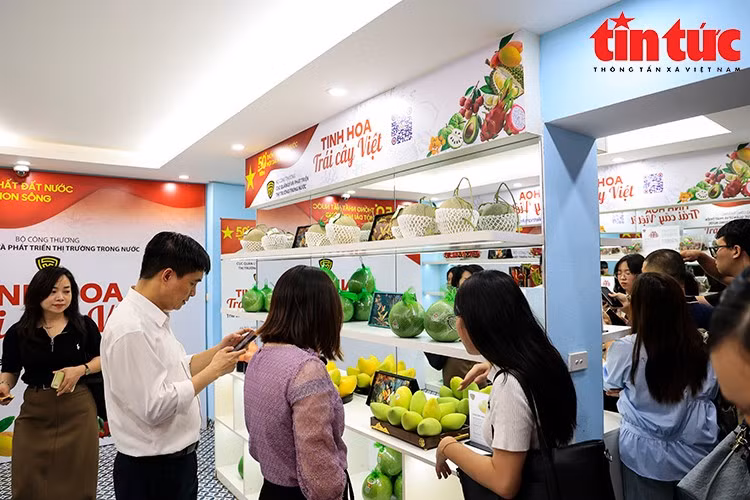 Khách tham quan tìm hiểu thông tin sản phẩm trái cây qua mã QR code tại Phòng trưng bày “Tinh hoa trái cây Việt”.