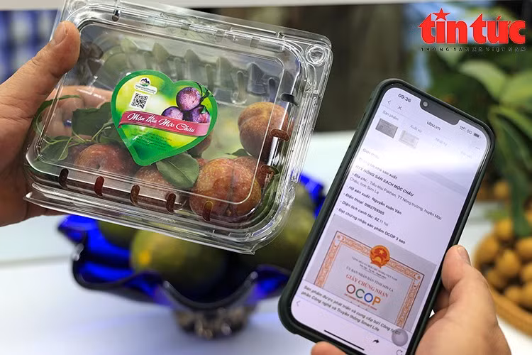 Việc ứng dụng mã QR tại Phòng trưng bày giúp người tiêu dùng tiếp cận thông tin sản phẩm một cách nhanh chóng và tin cậy.