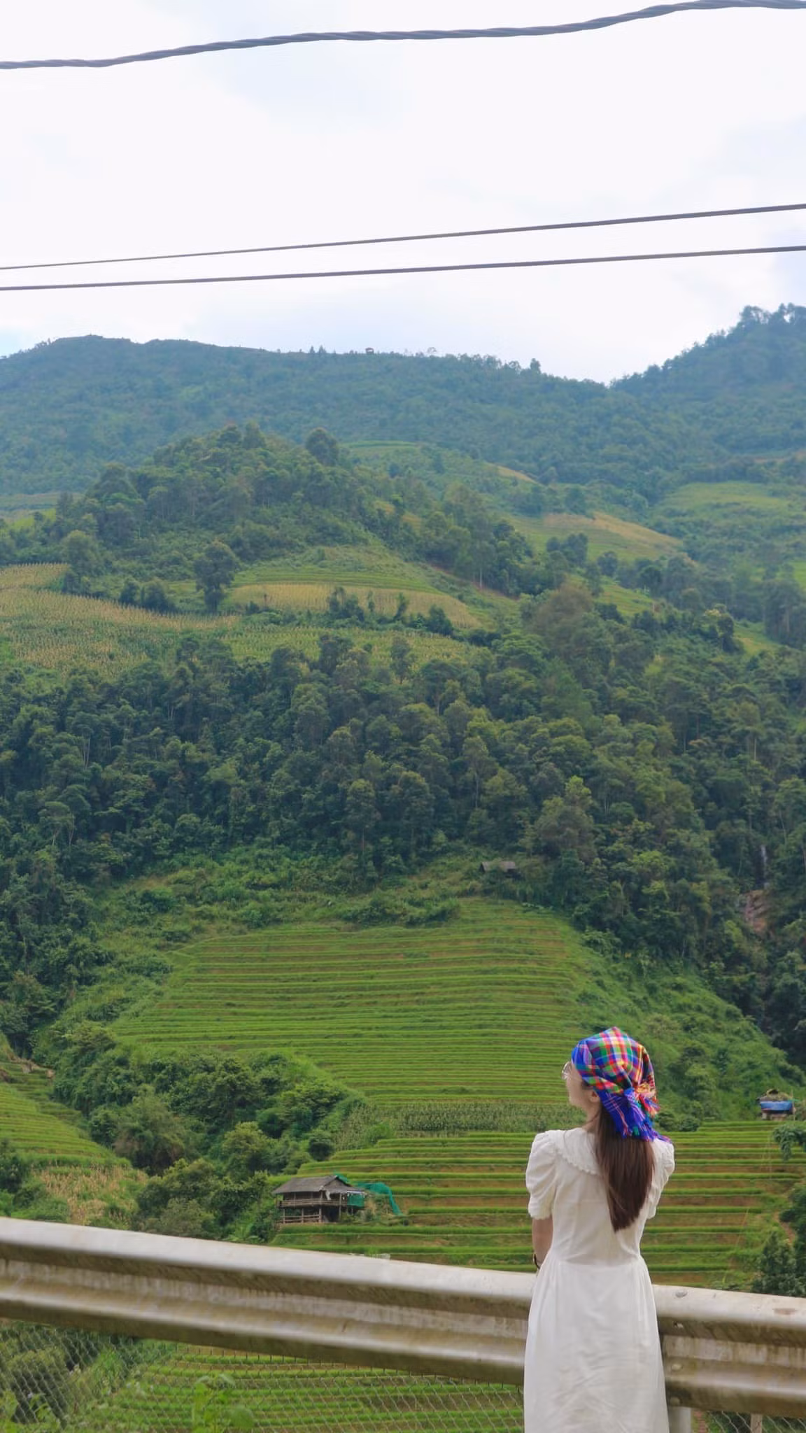 Thiên nhiên trong lành.