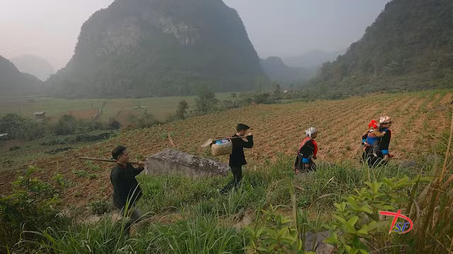 Hình ảnh trong phim tài liệu Đi về phía mặt trời.