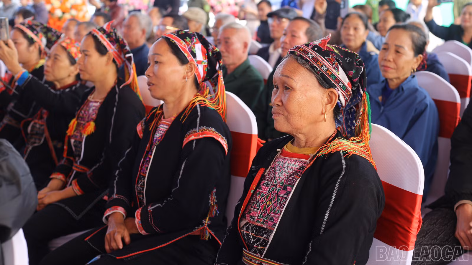 baolaocai-br_img-8275-2798.jpg