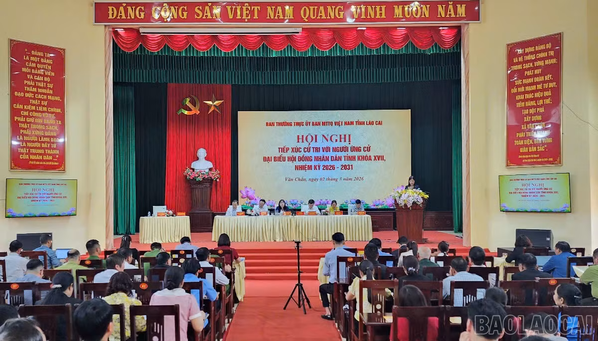 baolaocai-br_z7580332794677-6451af3d188cc5ee883fdab065ab24bf.jpg