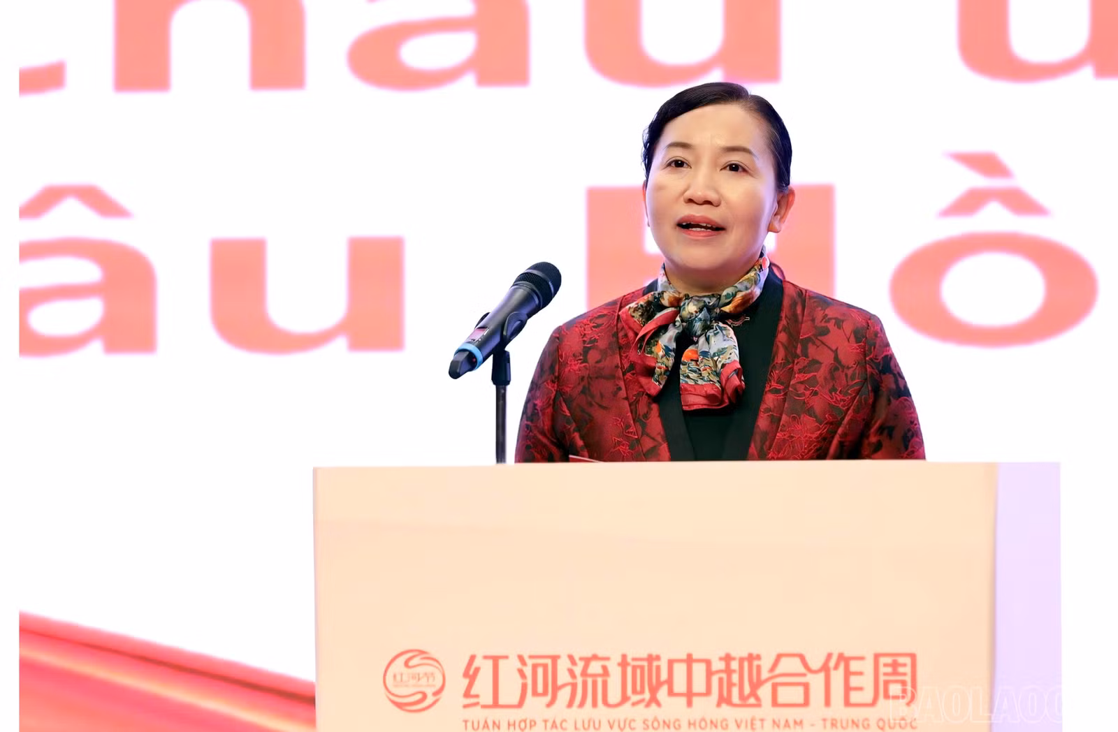 baolaocai-br_z7247419985617-960a05ebcddd6c233e162a2f0e2a622e.jpg