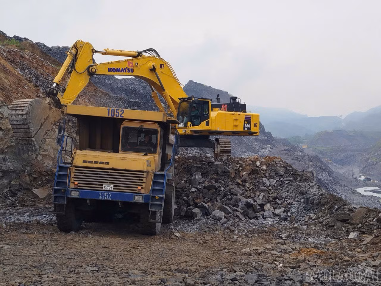 baolaocai-br_5.jpg