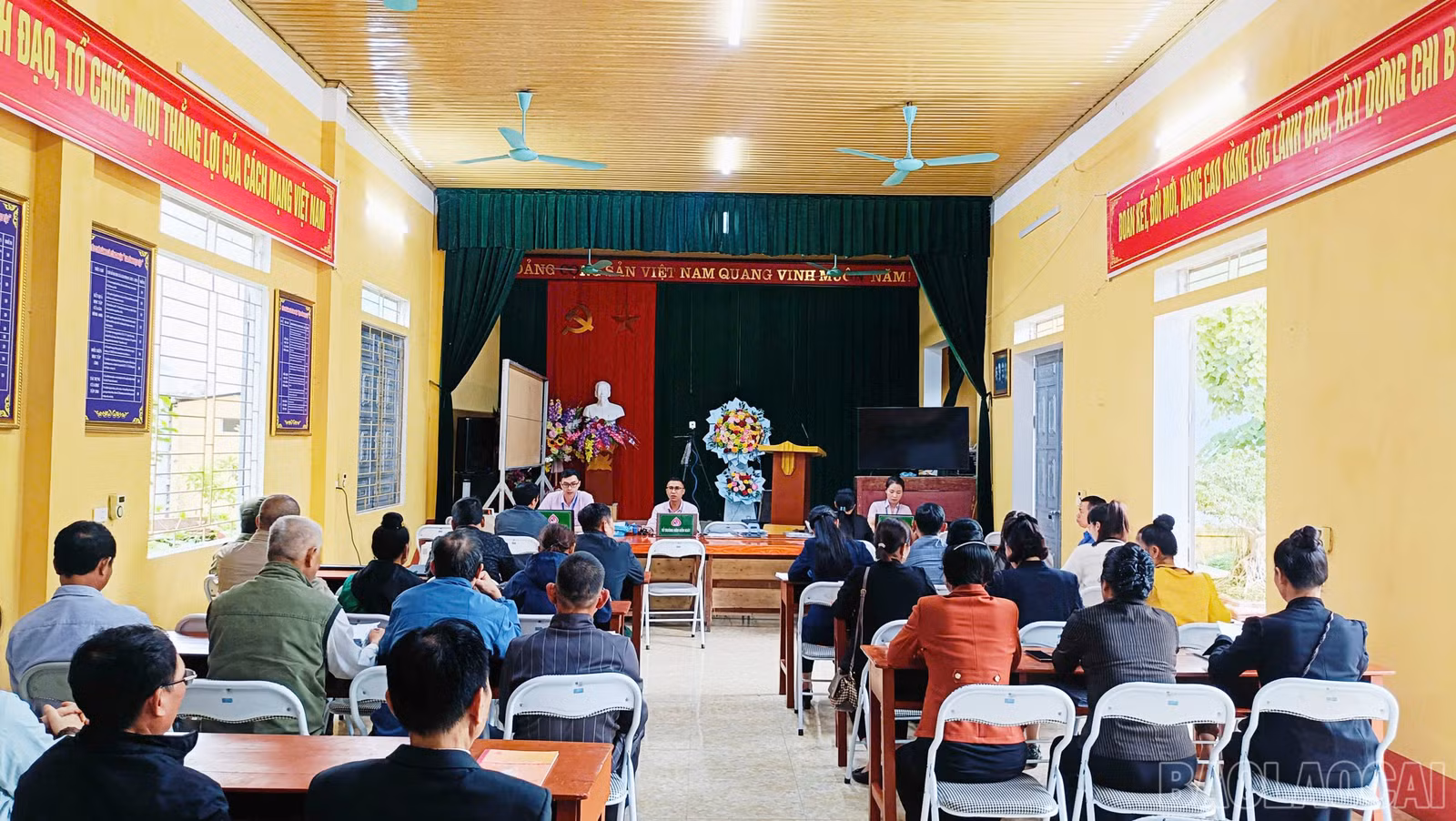 baolaocai-br_anh-33-6494.jpg