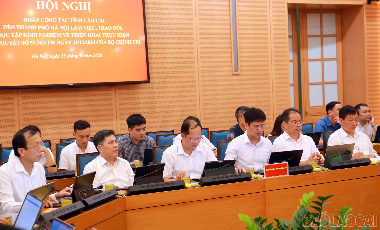baolaocai-br_img-9552.jpg