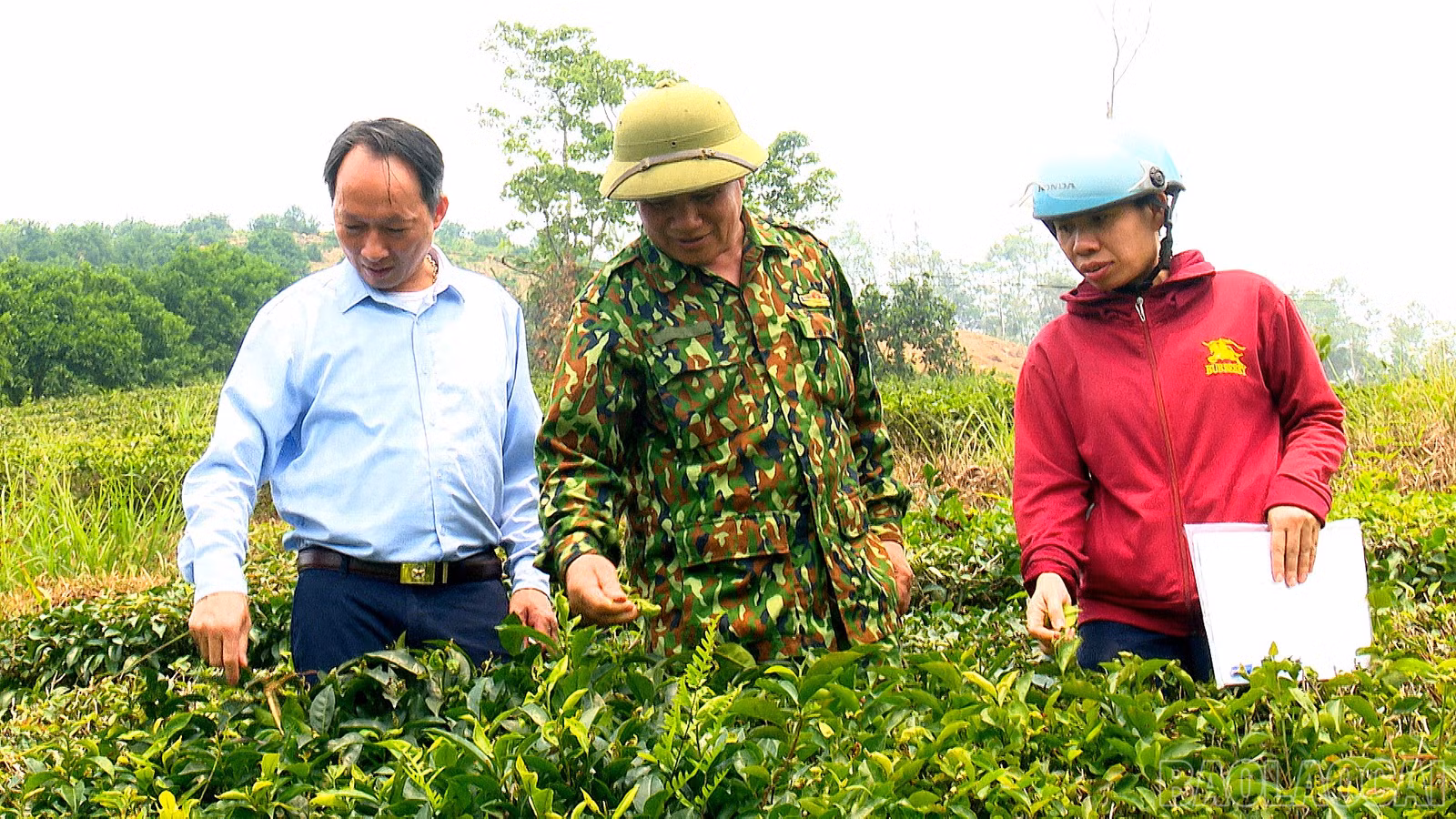 baolaocai-br_nghi-quyet-2100-38-08-20still005.jpg