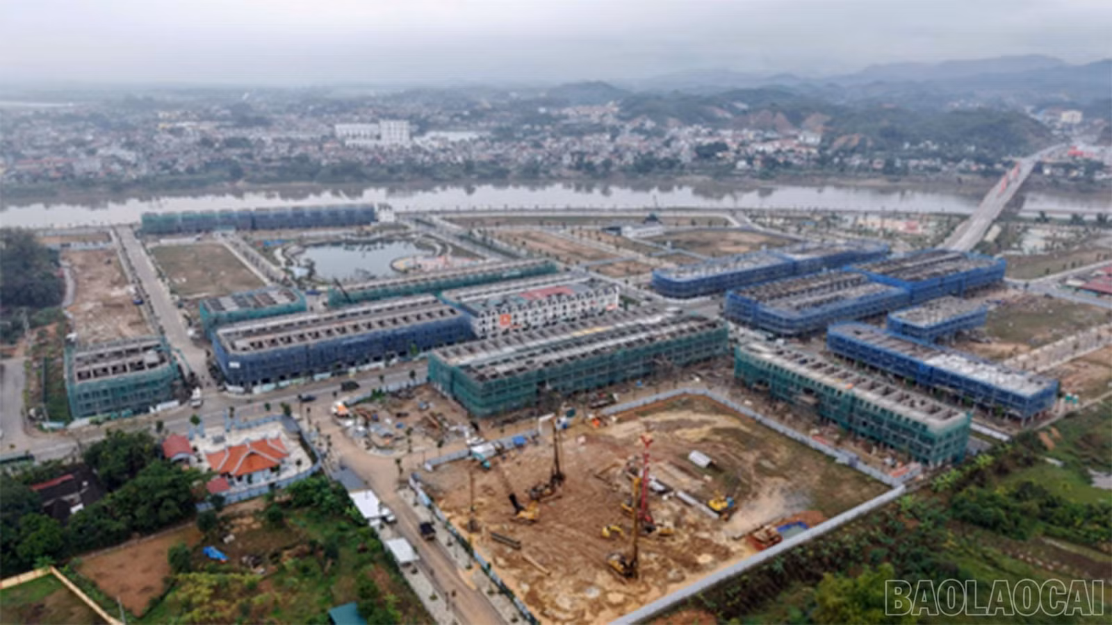 baolaocai-br_3.jpg