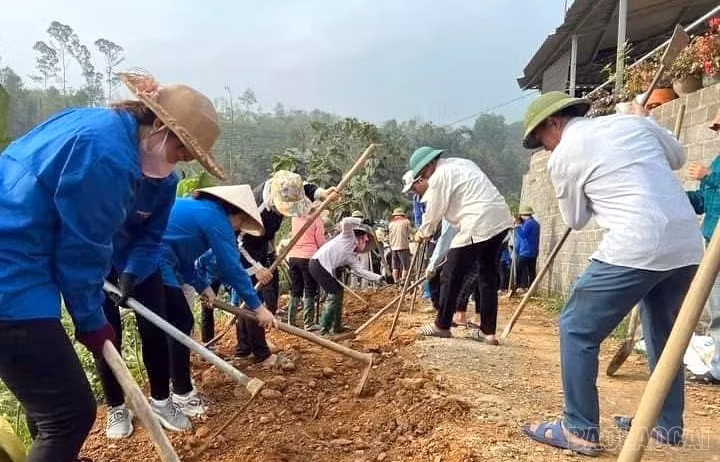 baolaocai-br_z7658548333386-60beb837e90c8288c5b619ab49180f6c.jpg