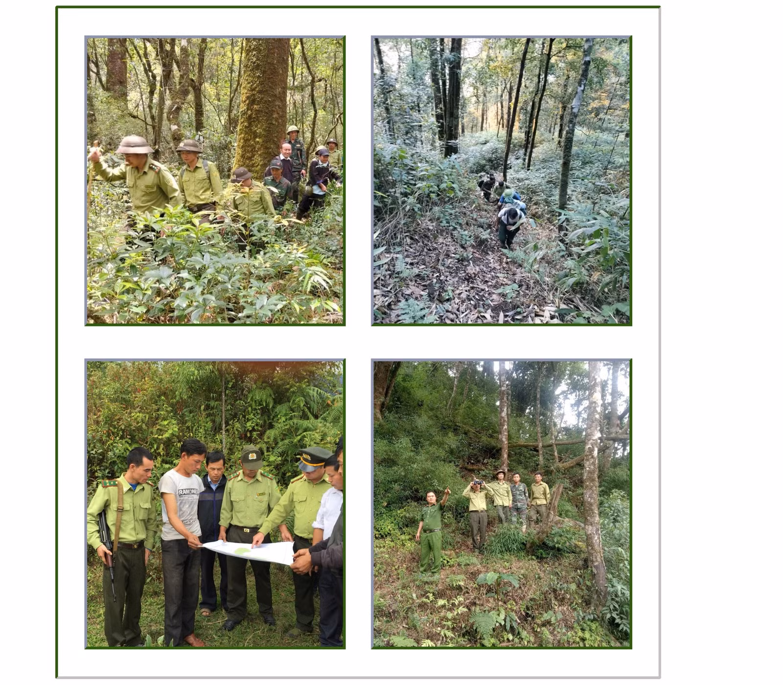 luc-luong-kiem-lam-khu-vuc-mu-cang-chai-tang-cuong-tuan-tra-rung-1.png