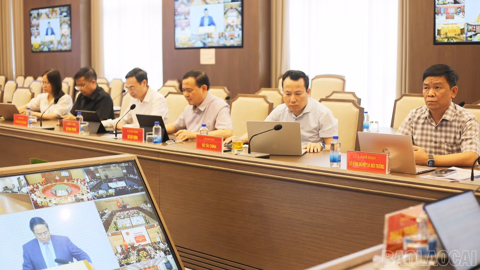 baolaocai-br_img-0966.jpg