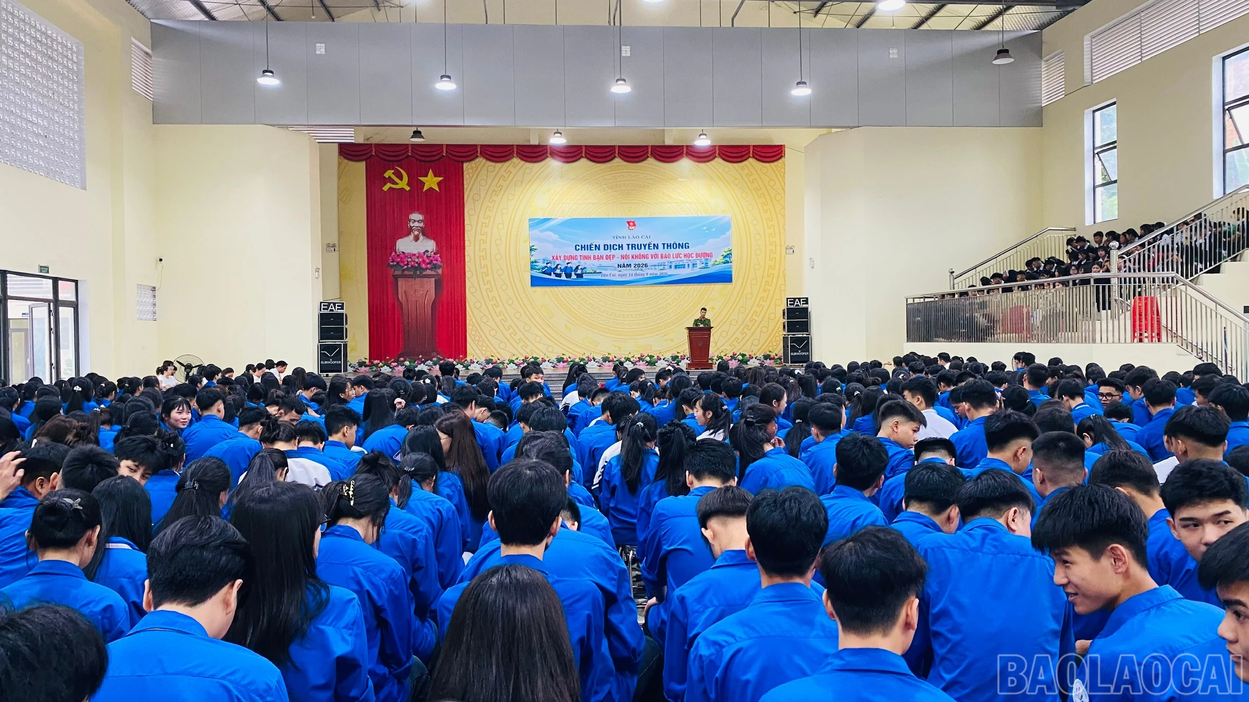 baolaocai-br_1789356826532-2286320727308424632-2168806381781251867-67691373768c60c10de643d225fba47b.jpg