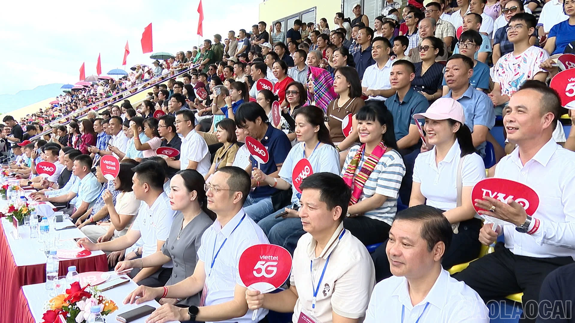 baolaocai-br_1787980177972-8410990227297320379-8410990227297320379-e1240dc79b7a75852a7500ea7f000ca9.jpg