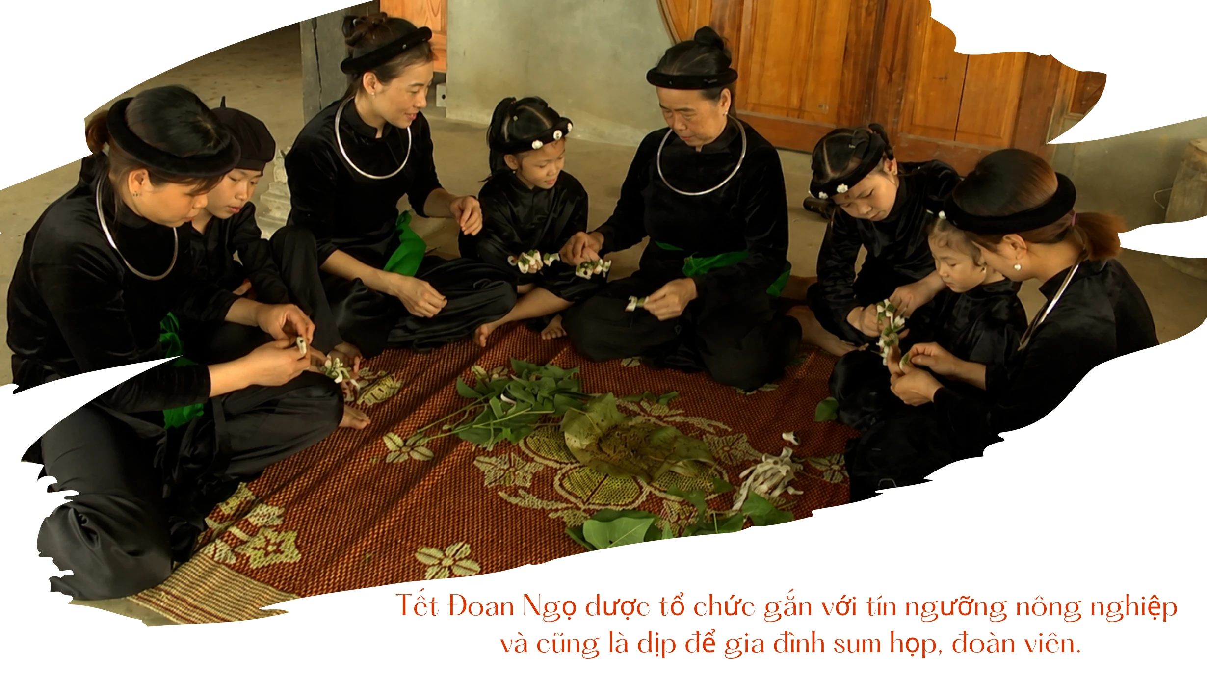 sum-hop-doan-ngo.png