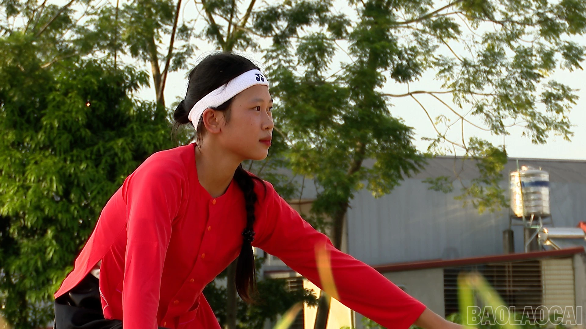 baolaocai-br_bd-2.jpg