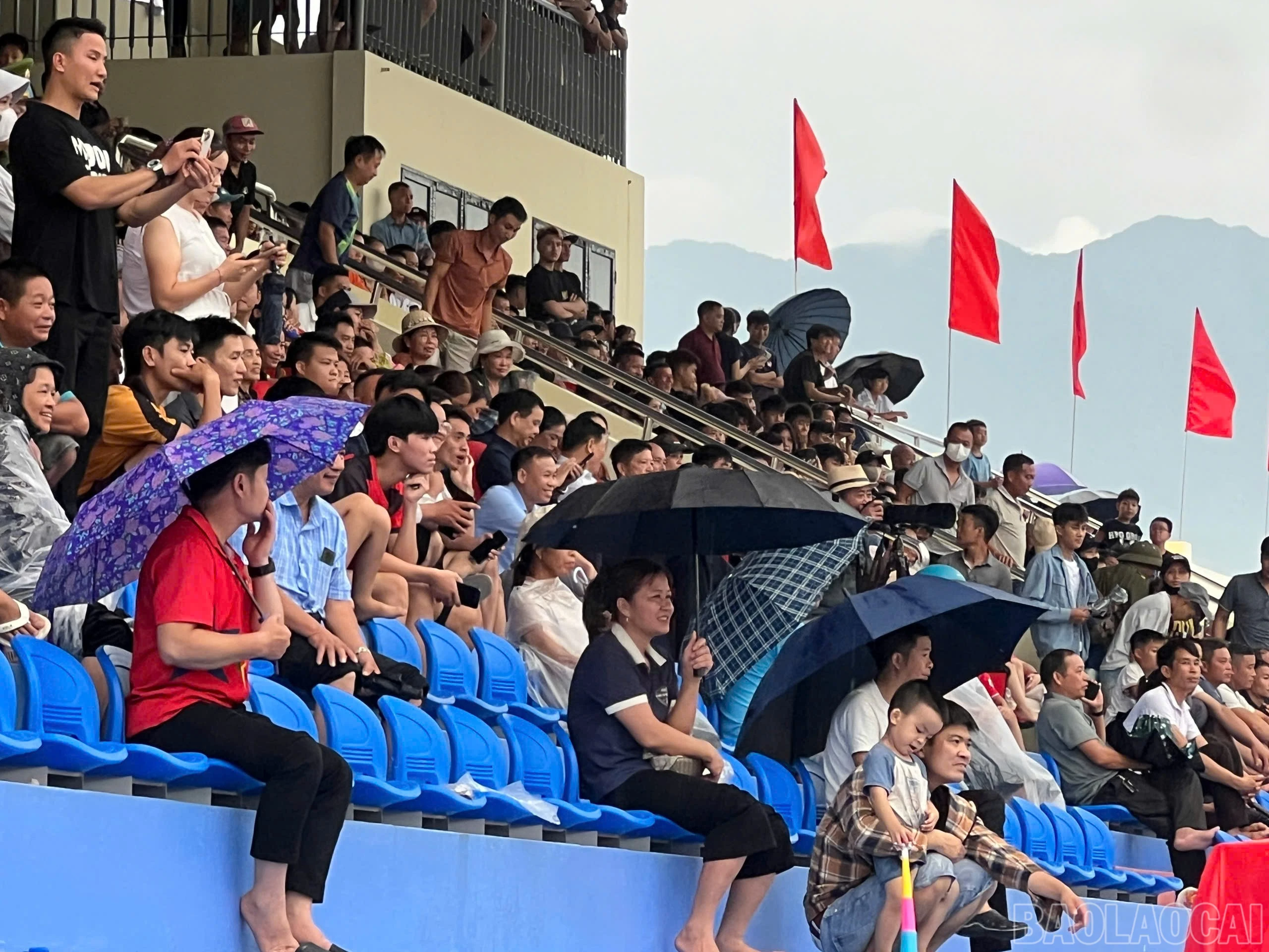 baolaocai-br_1787825039587-8410990227297320379-8410990227297320379-b07c66b1dcb05a13d207d460bf6552bf.jpg