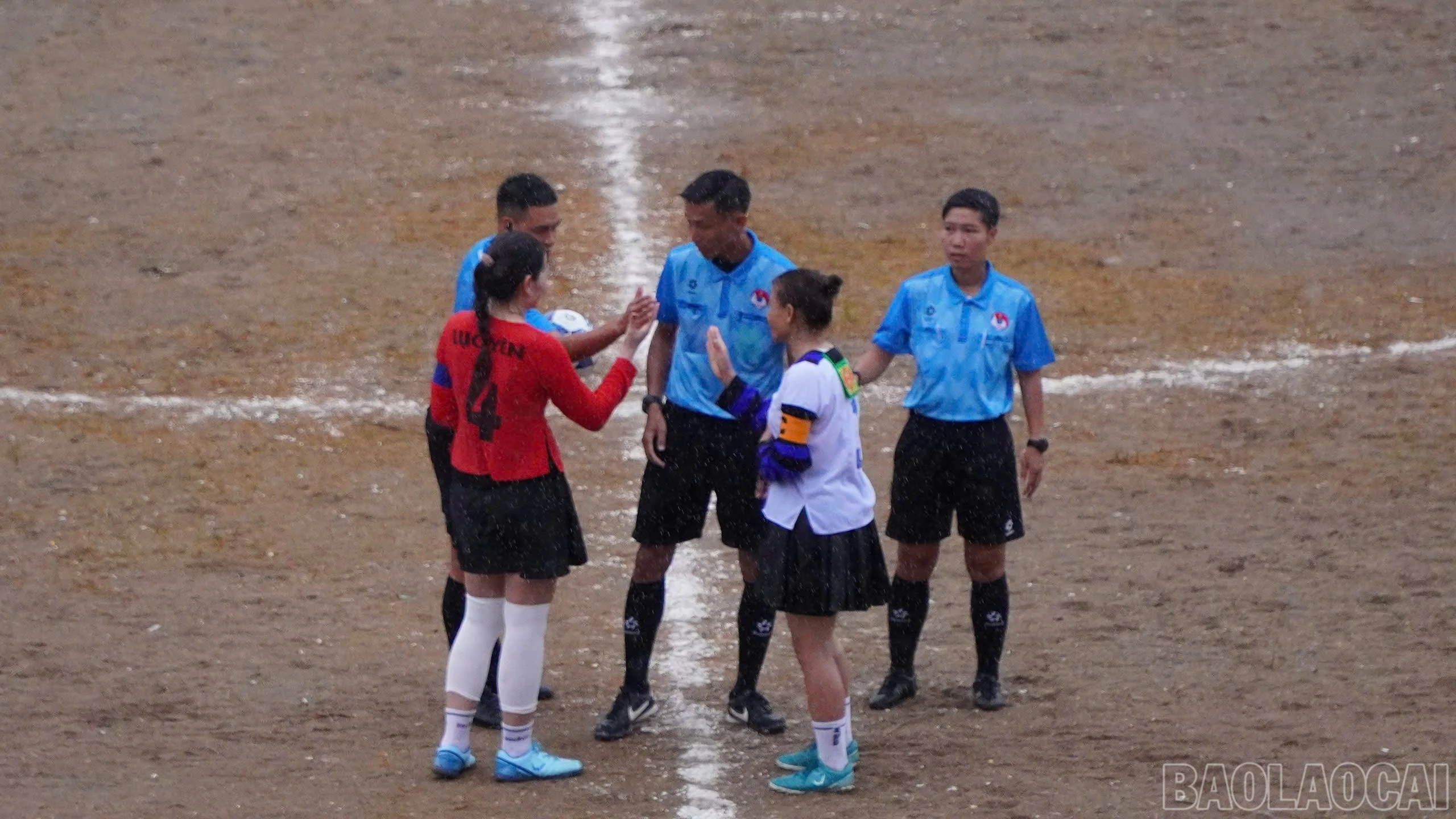 baolaocai-br_1787824657785-8410990227297320379-8410990227297320379-e6764738b7c6b122f8d97eaa90cacda6.jpg