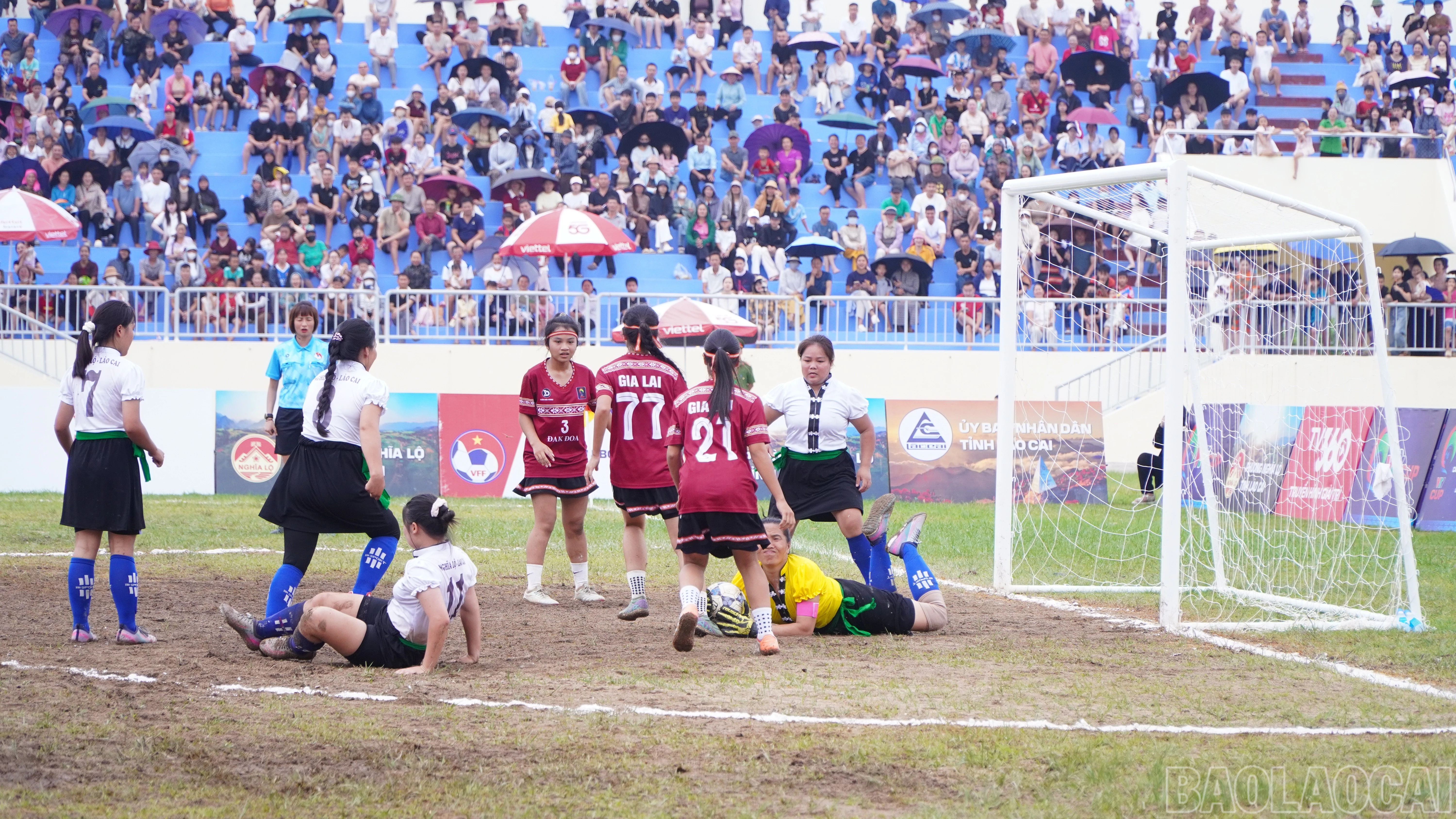 baolaocai-br_beo03341.jpg