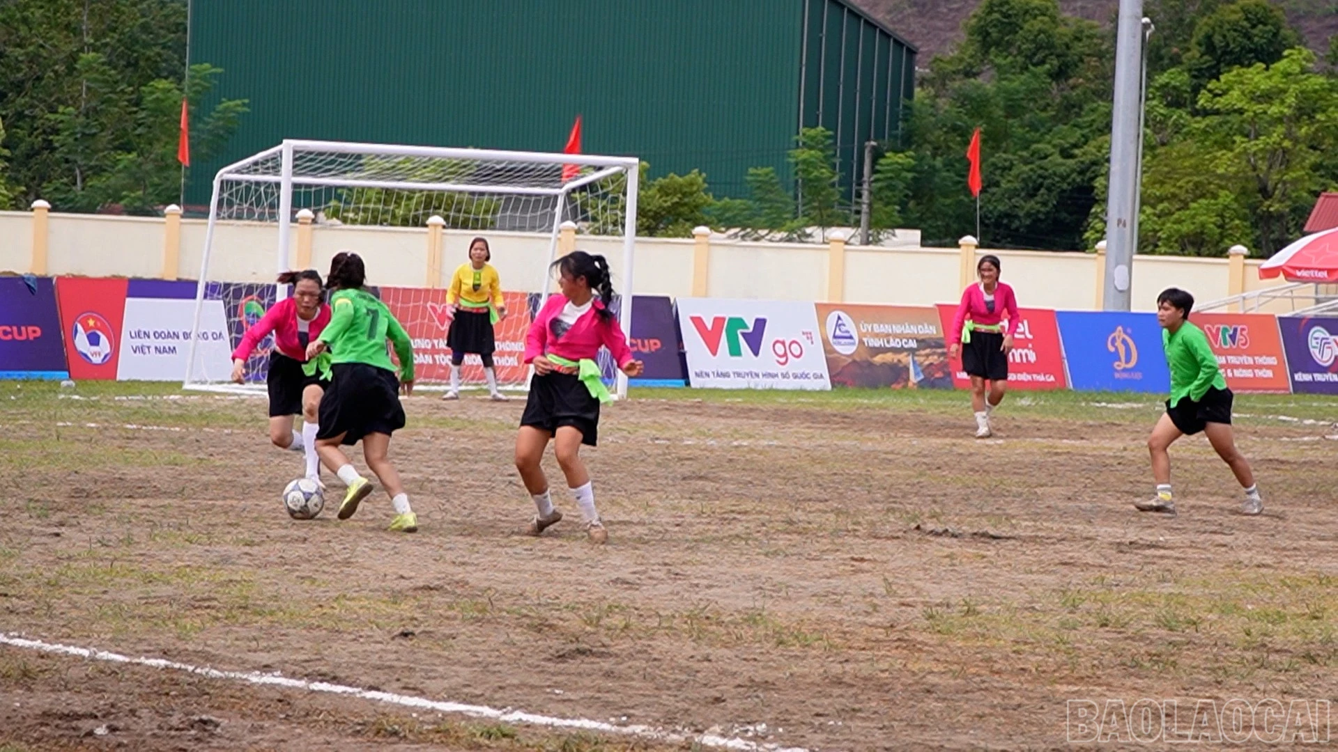 baolaocai-br_c309800-01-14-40still002.jpg
