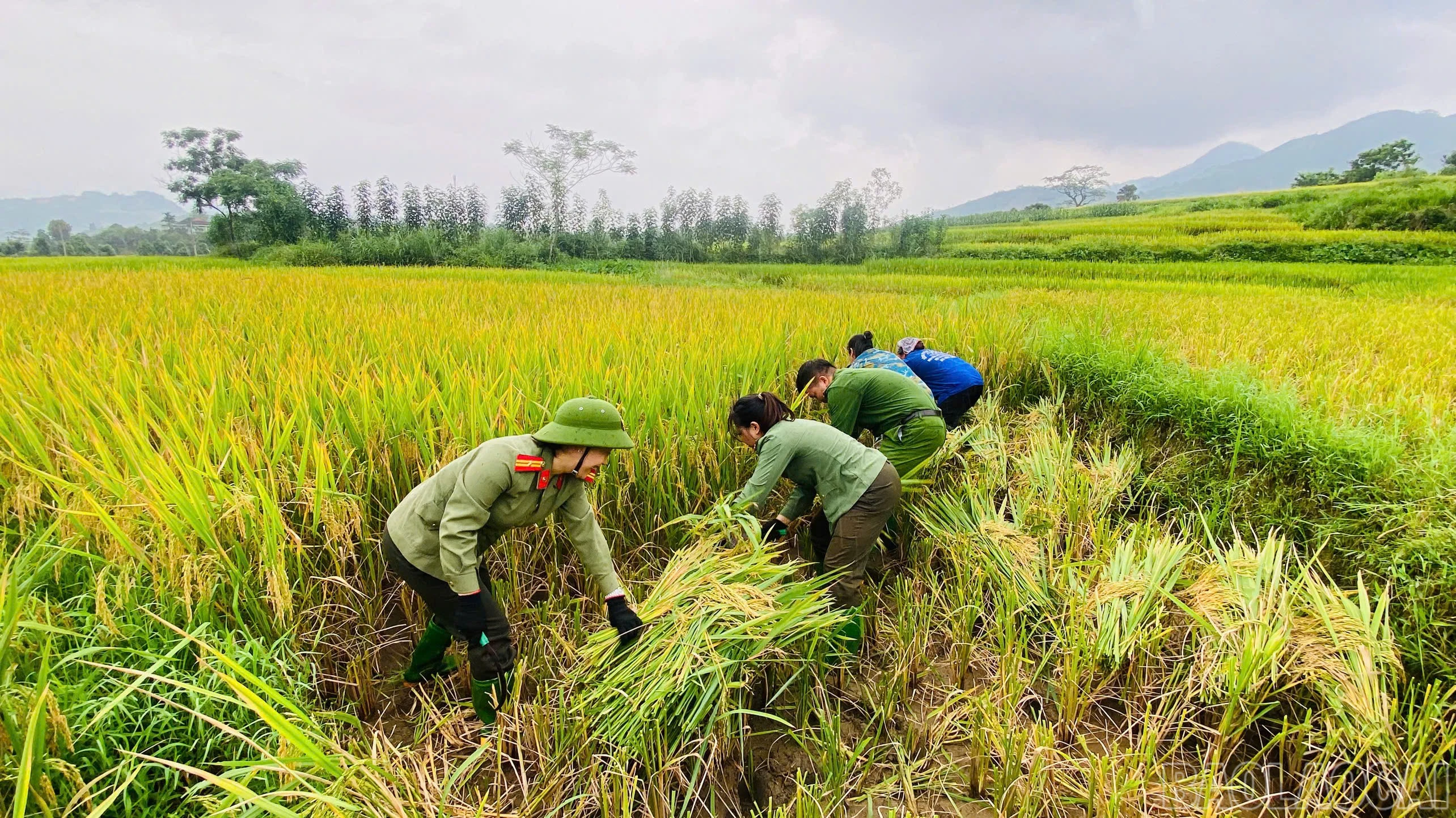 baolaocai-br_cong-an-xa-luong-thinh-162026.jpg