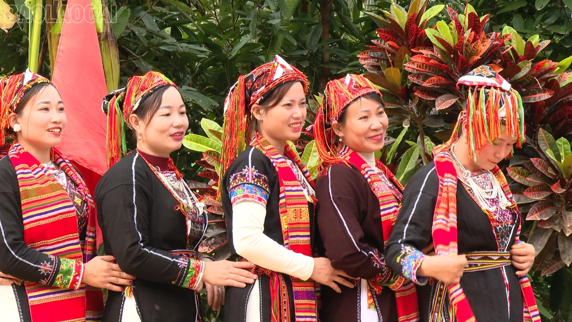 baolaocai-tl_nguoi-dao-khe-loong.png