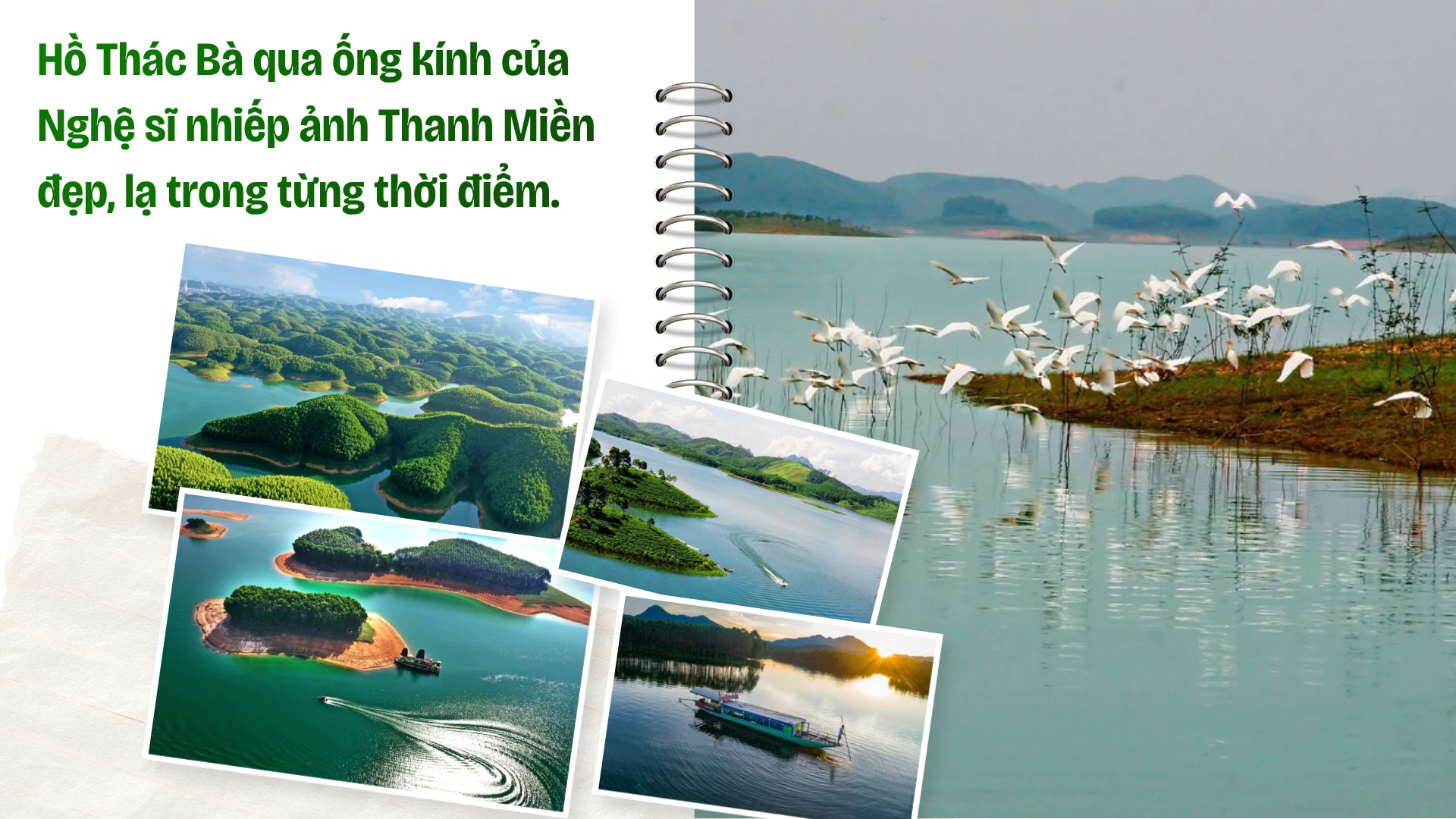 trang-106-danco.png
