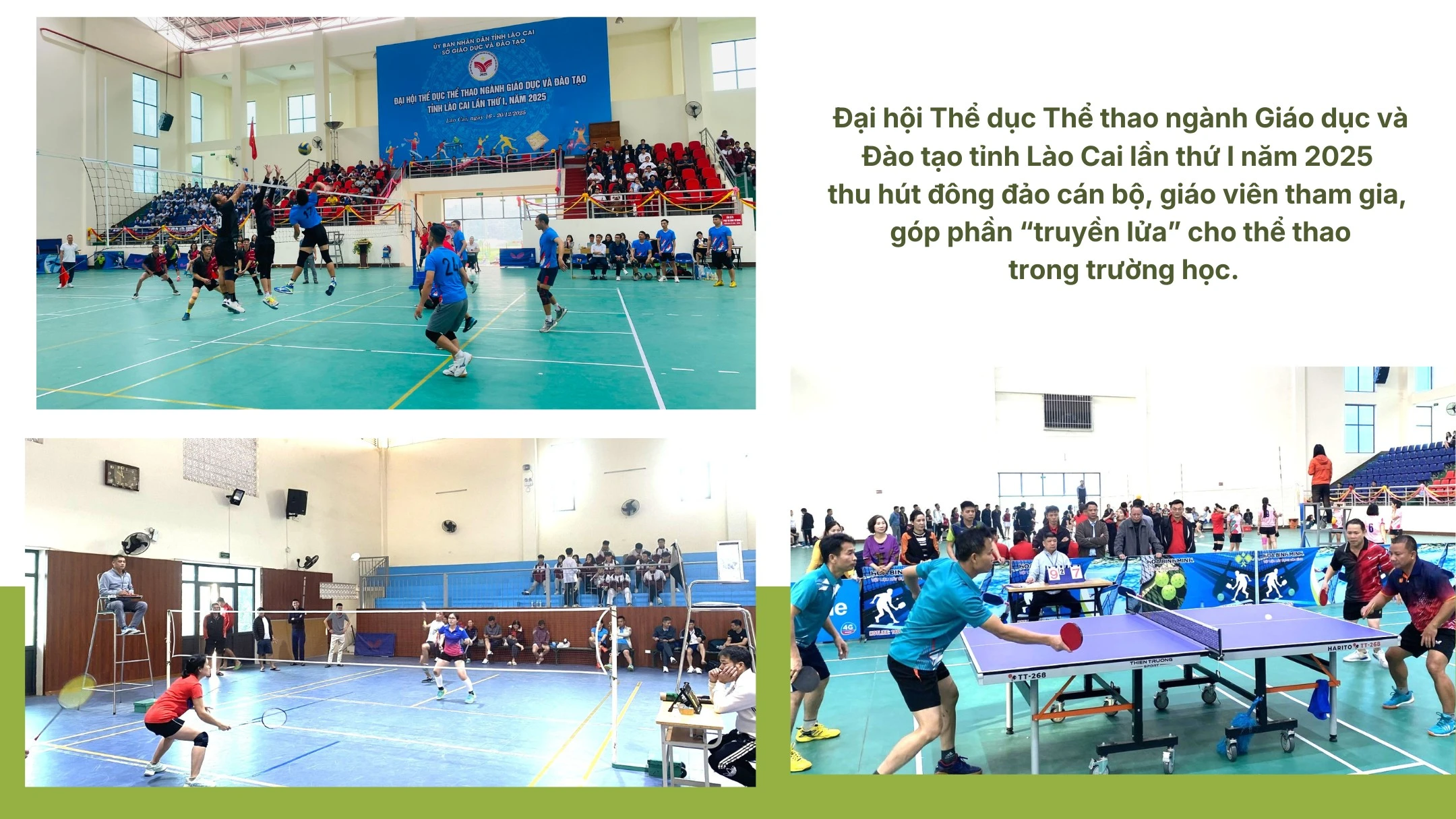 dai-hoi-the-duc-the-thao-nganh-gddt.png