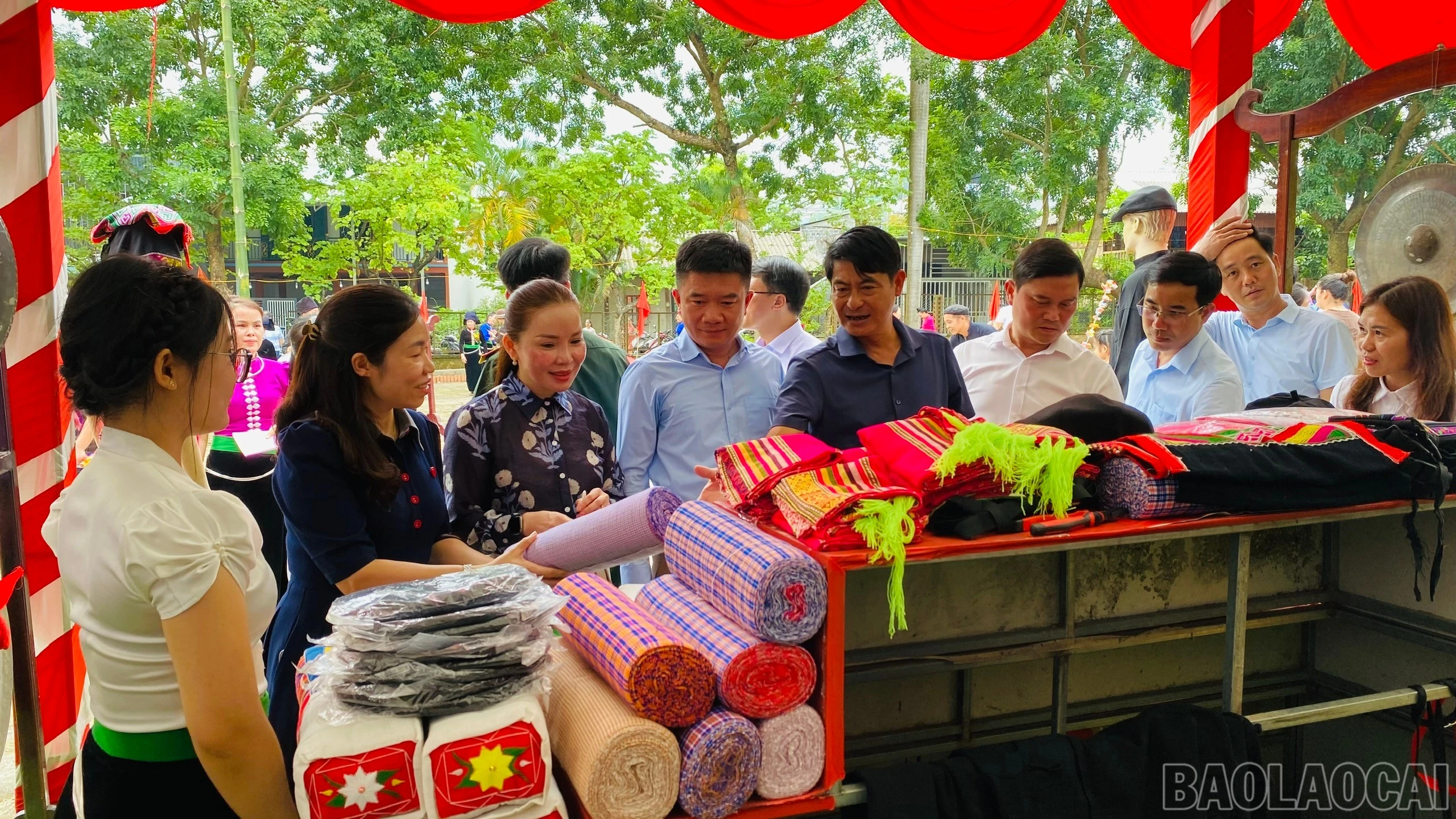 baolaocai-br_1787719390730-2286320727308424632-1062063445439005631-f6f8dd8d018bf4e3c35f13670541399c.jpg