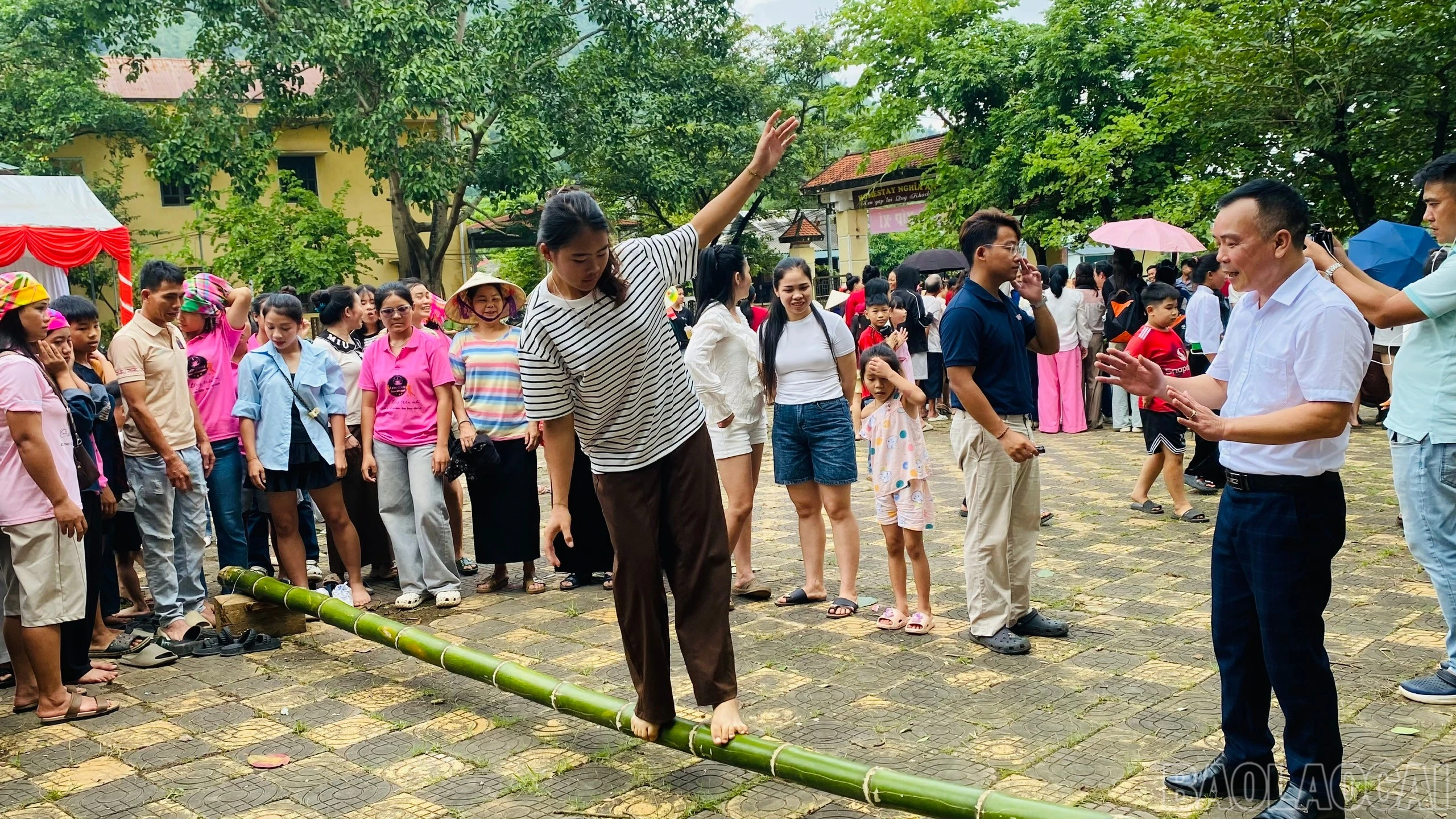baolaocai-br_1787719511724-2286320727308424632-1062063445439005631-61ad6a12e29d2ce9d6a4883026fc19f2.jpg