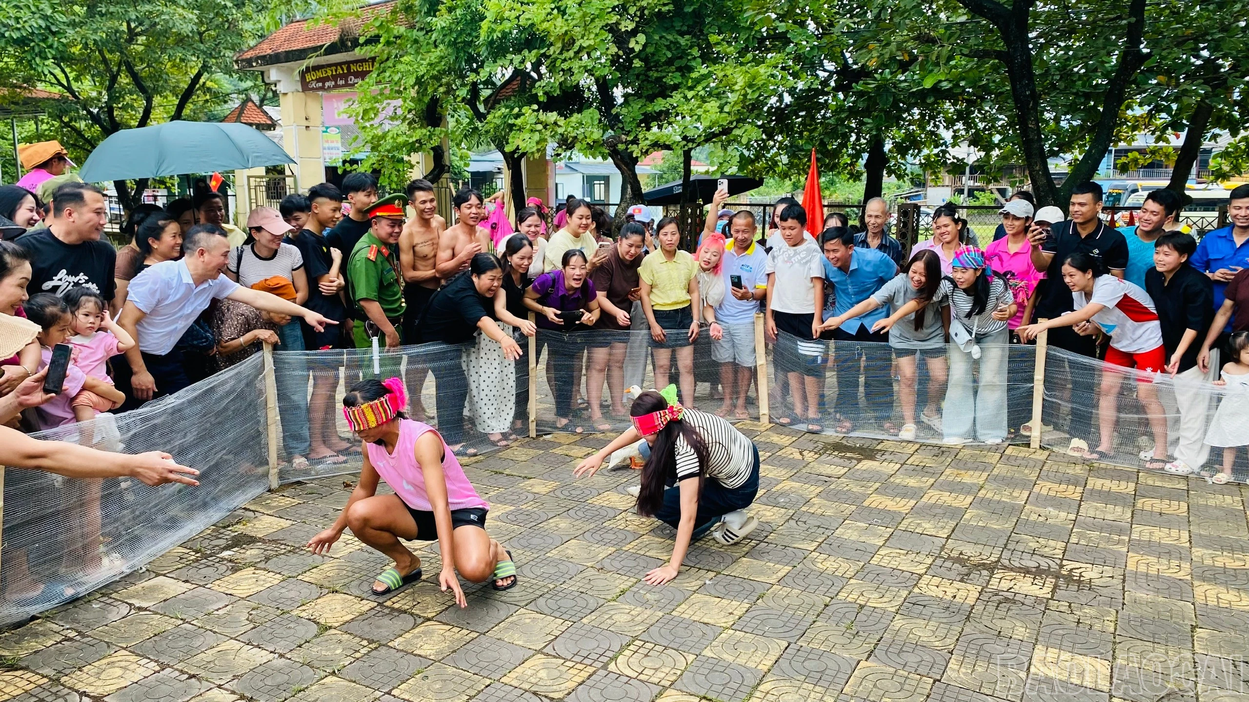 baolaocai-br_1787719565566-2286320727308424632-1062063445439005631-e16c8be815198a18e6b1812c9c6c93fc.jpg