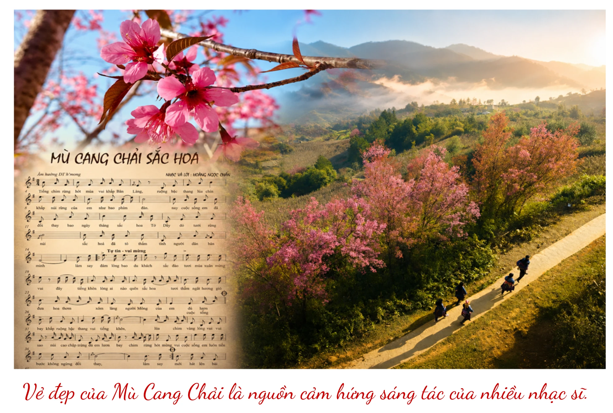 mcc-trang.png