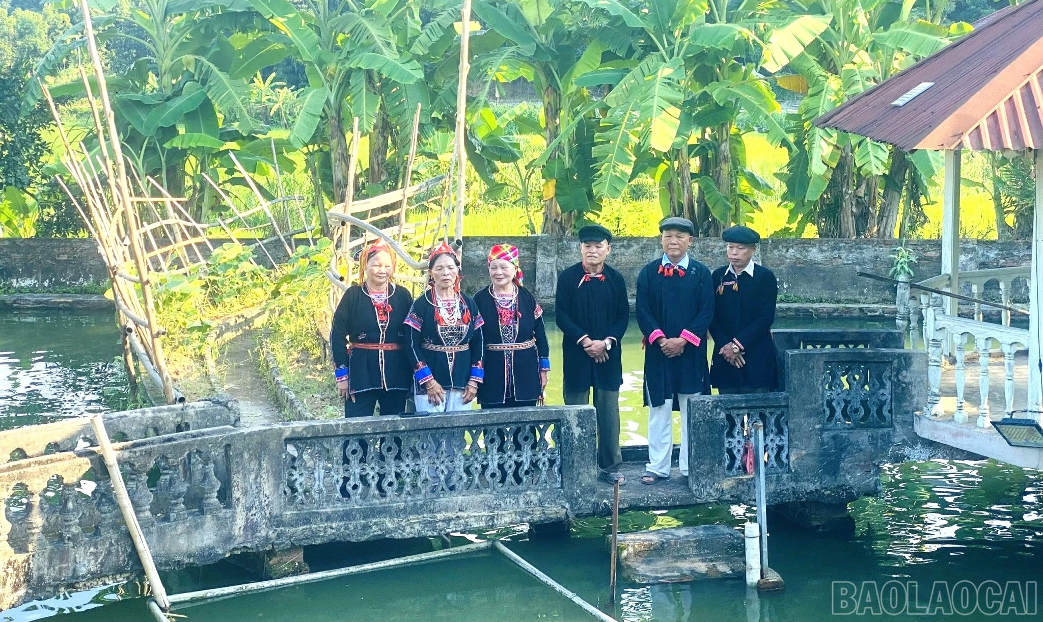 baolaocai-br_hat-giao-duyen-dao-quan-trang.jpg