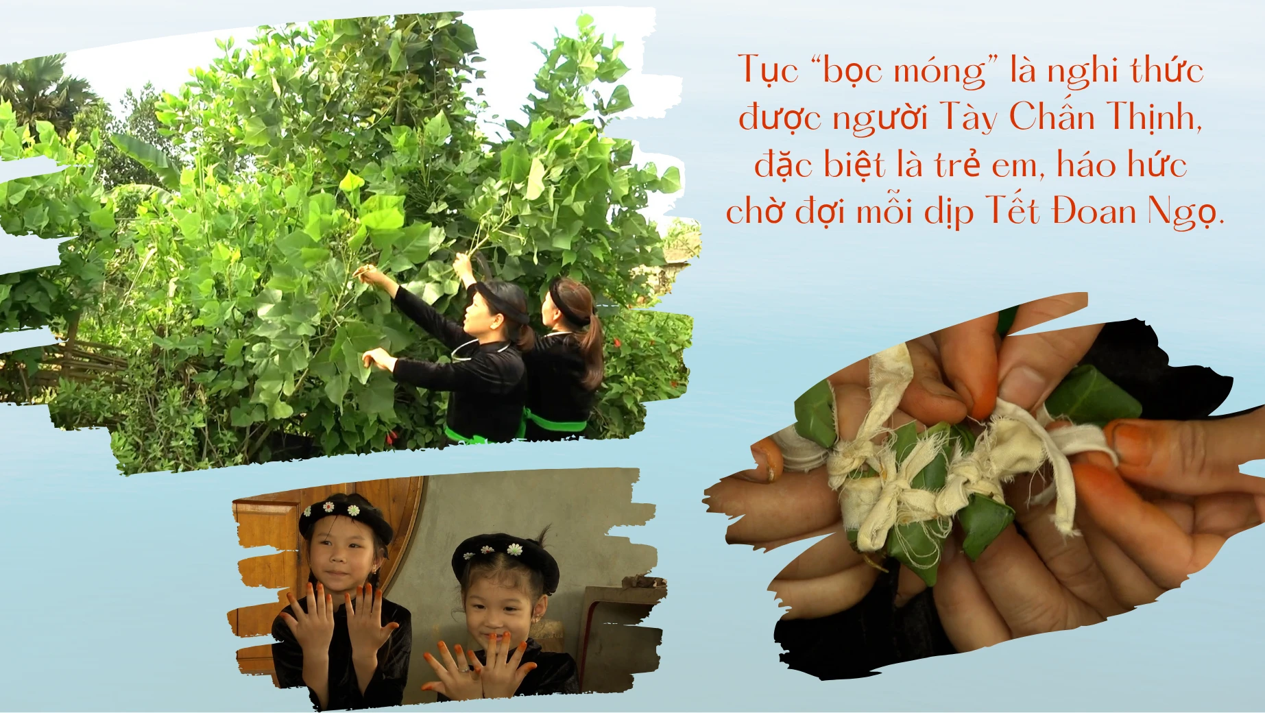 boc-mong-doan-ngo.png