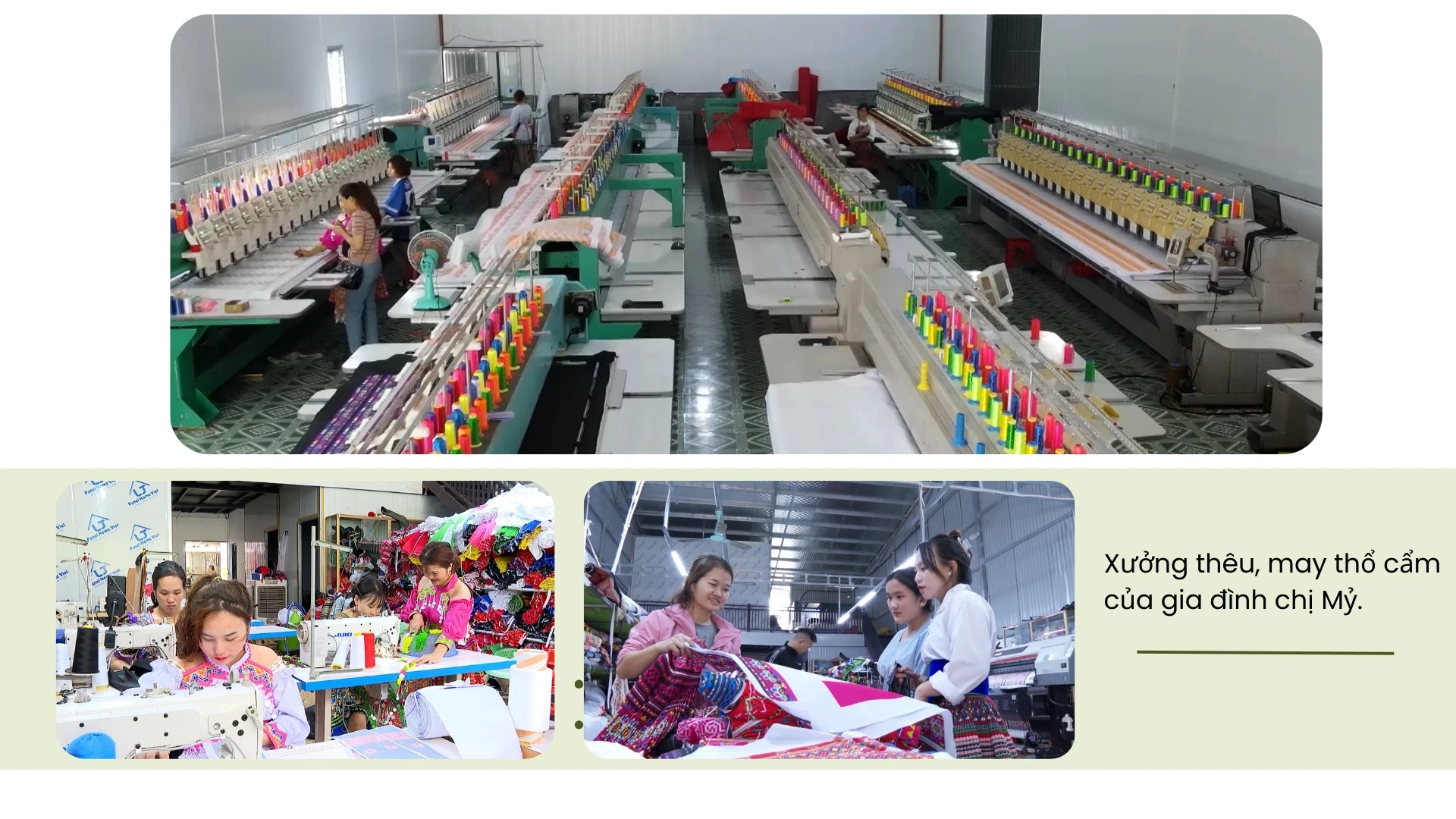 green-white-and-beige-modern-agriculture-pitch-deck-presentation.png