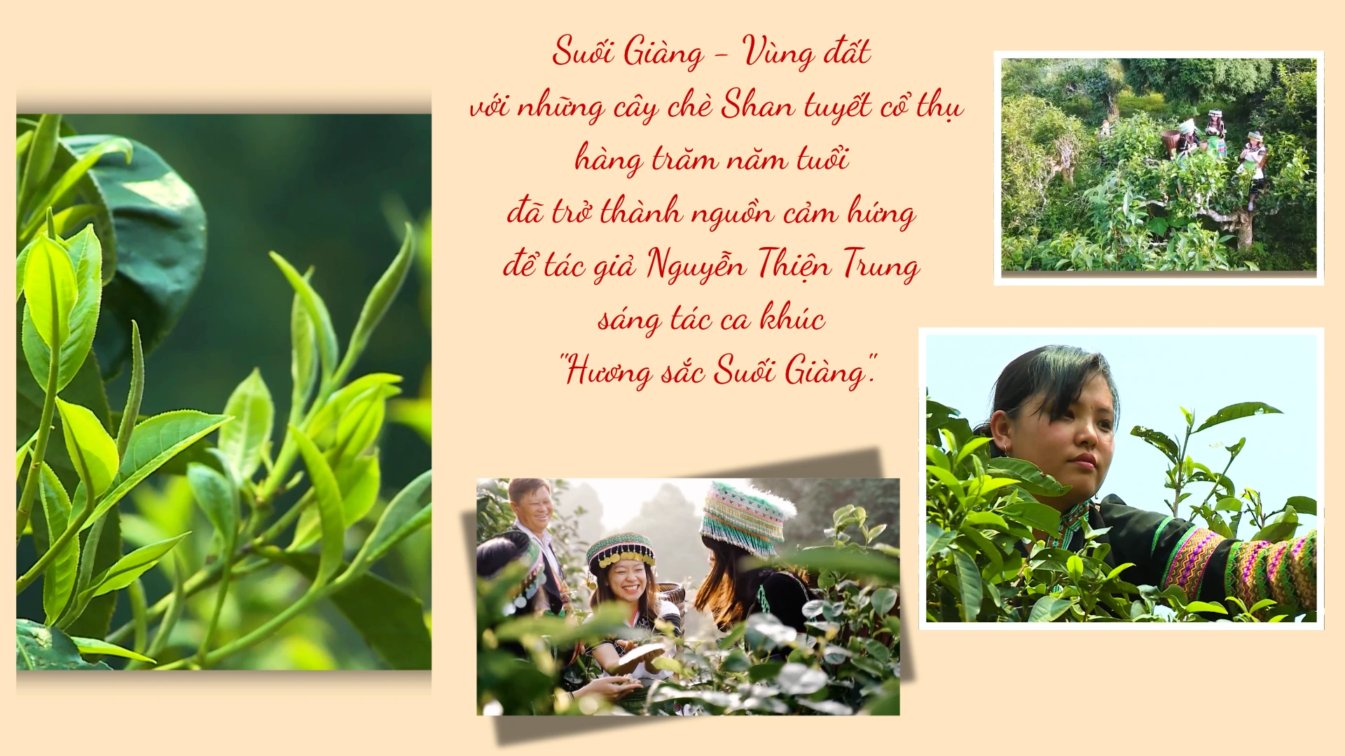 suoi-giang-trang.png