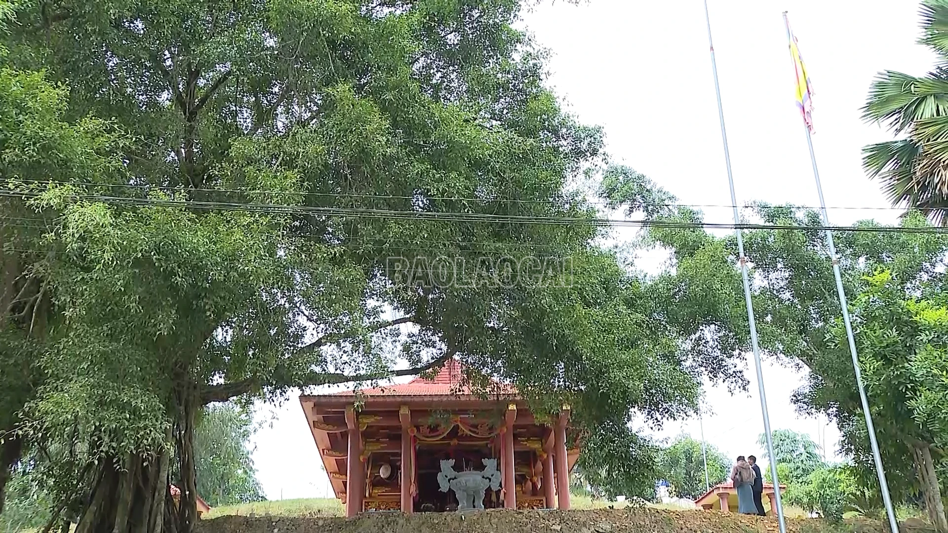 baolaocai-c_dinh-va-den-quy-mong.png