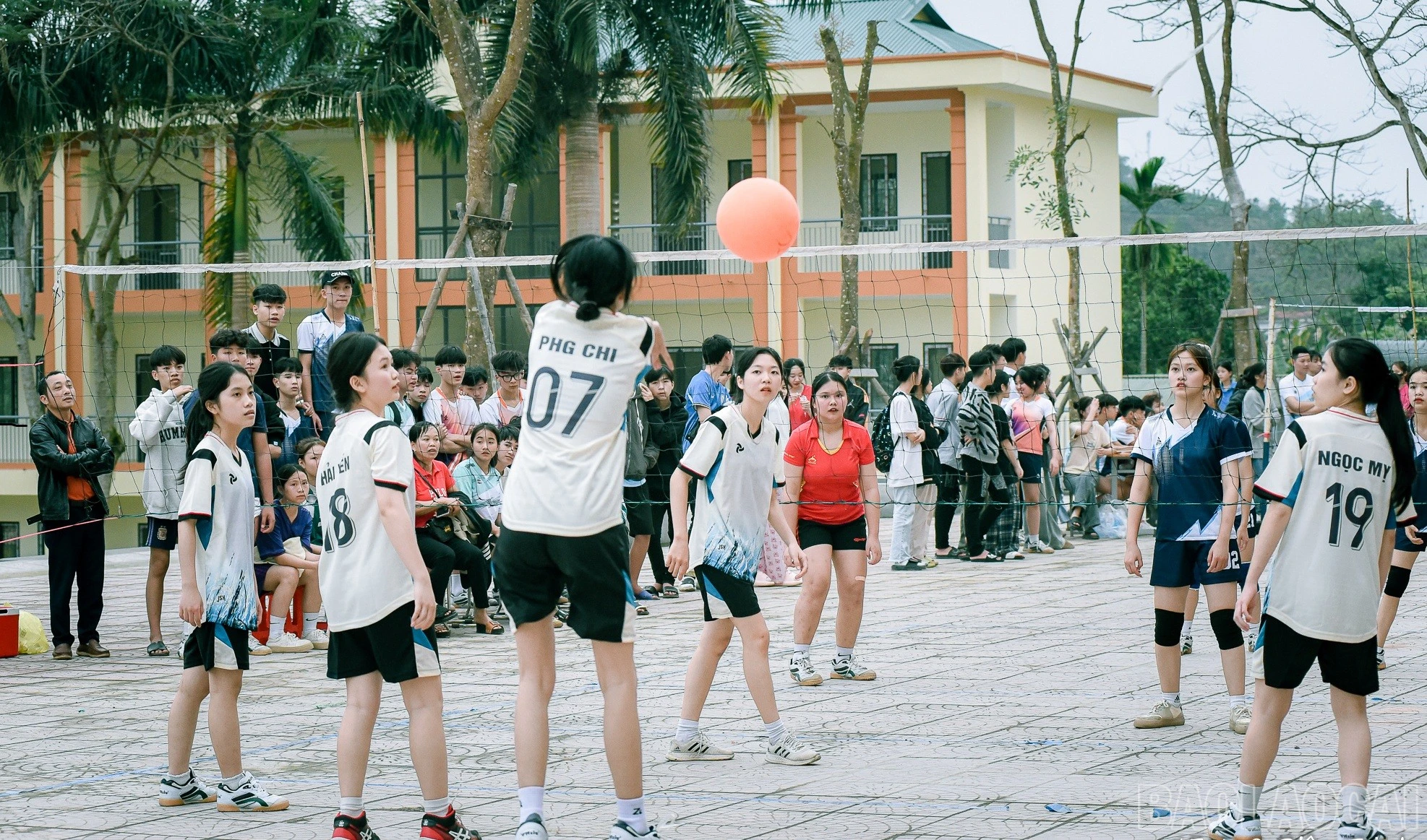 baolaocai-br_479193999-1339788143720780-1464936781559041403-n.jpg