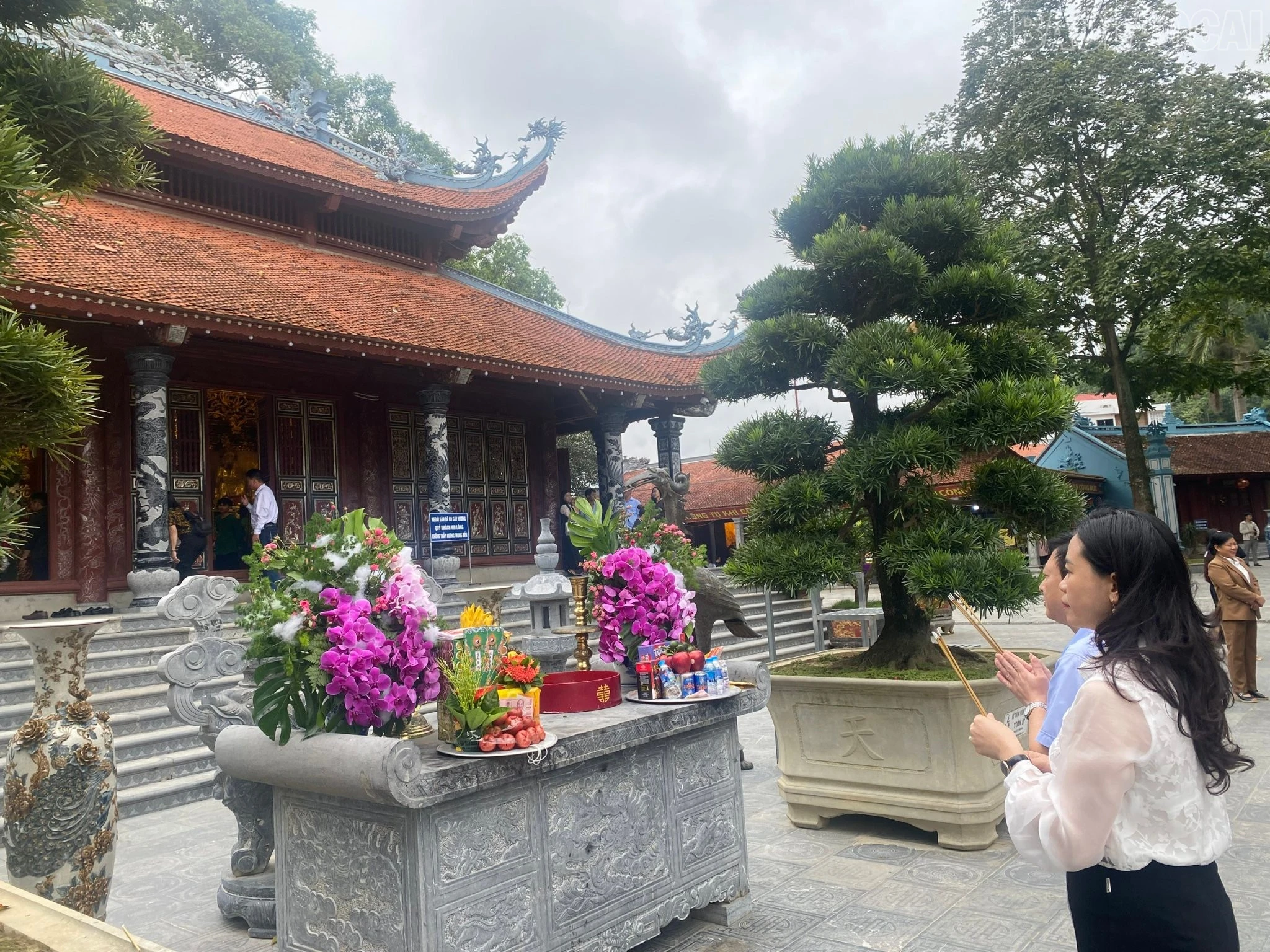 baolaocai-tr_z7151649476663-552adc6a6fe564370935e66cf70bf4ac.jpg