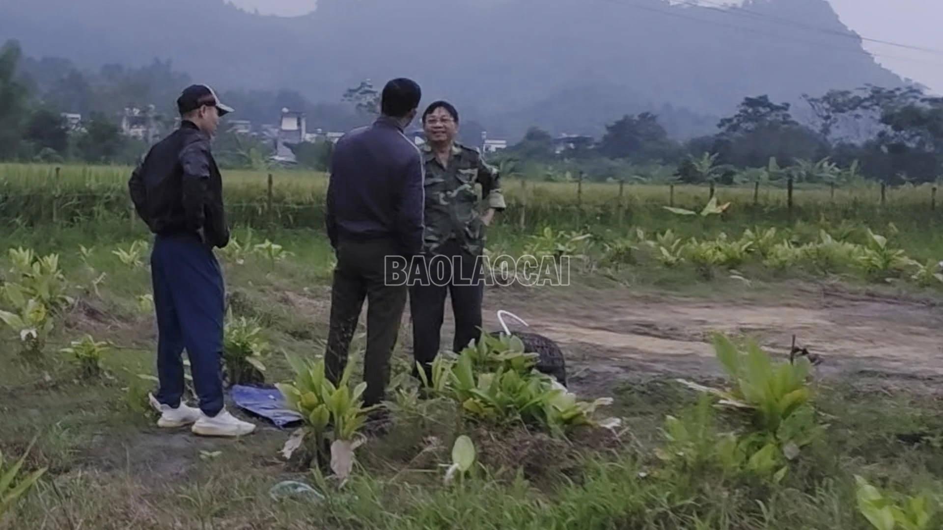baolaocai-c_anh-5-khu-vuc-phat-hien-danh-bay.png