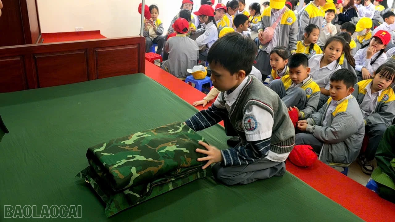 baolaocai-bl_800886819712267934.jpg