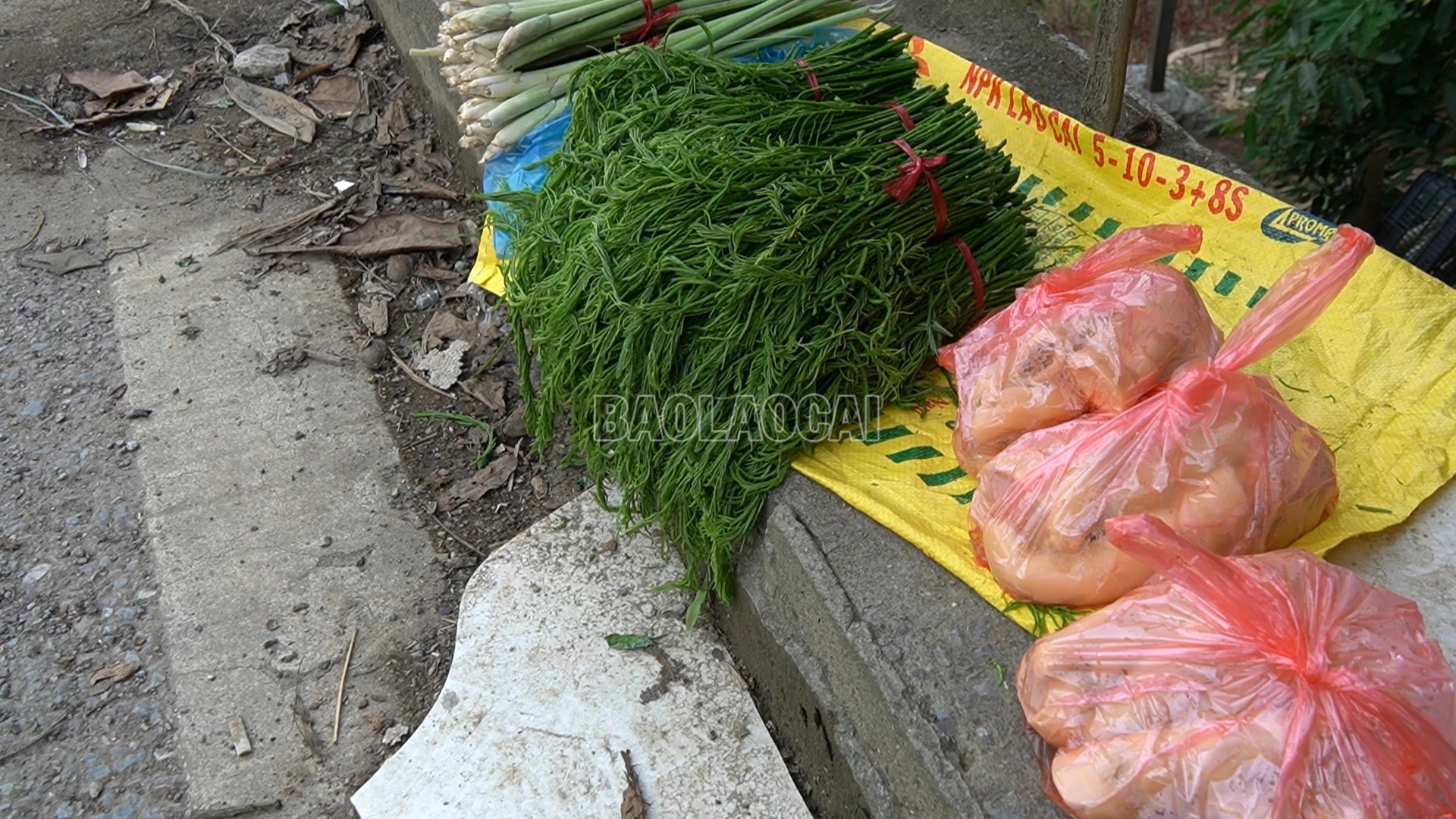 baolaocai-c_cau-lang-phang-5.png