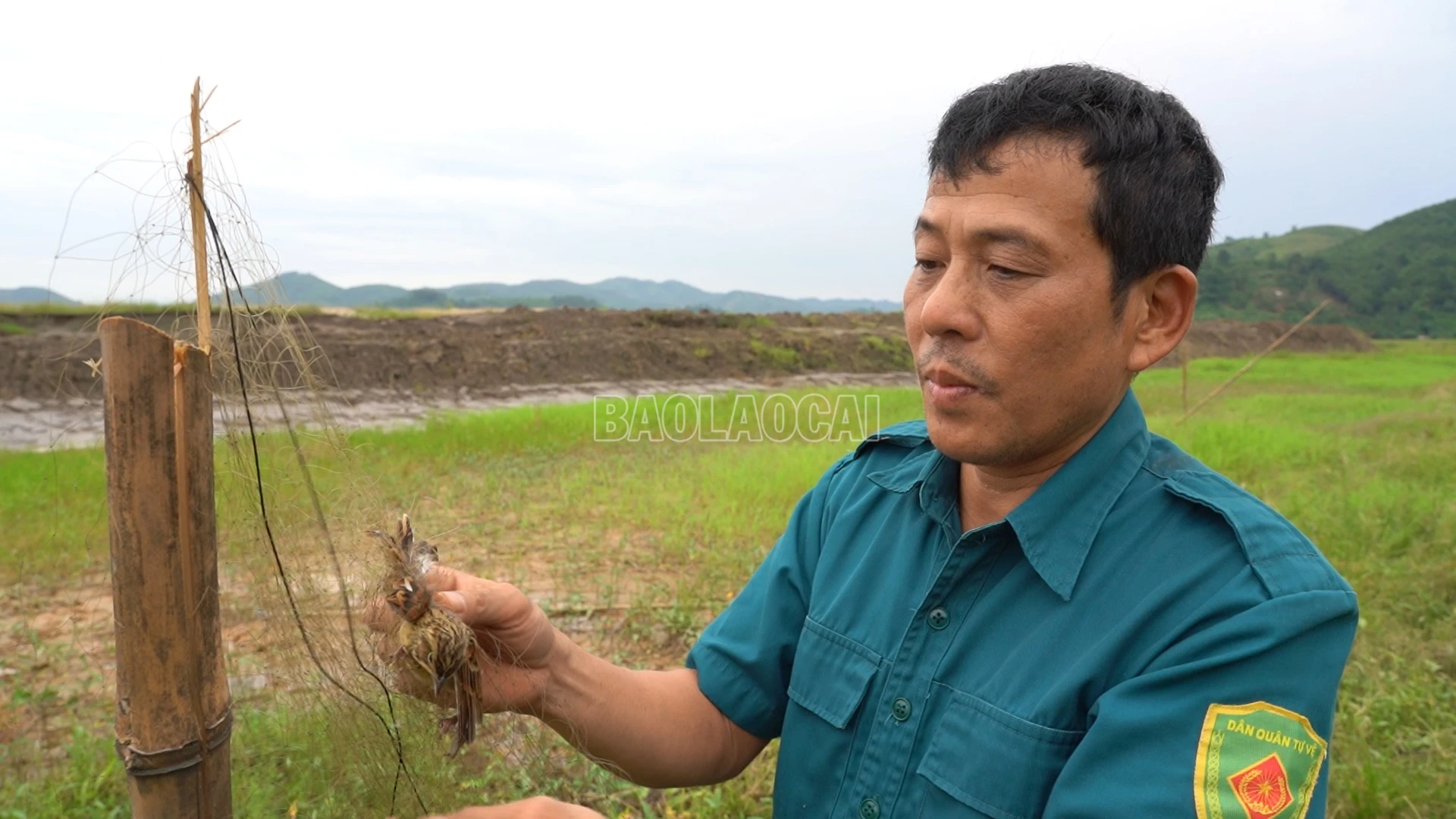 baolaocai-c_anh-9-giai-cui-mot-chu-chim-bi-mac-luoi-tai-bai-thai-xa-tang-loong.png