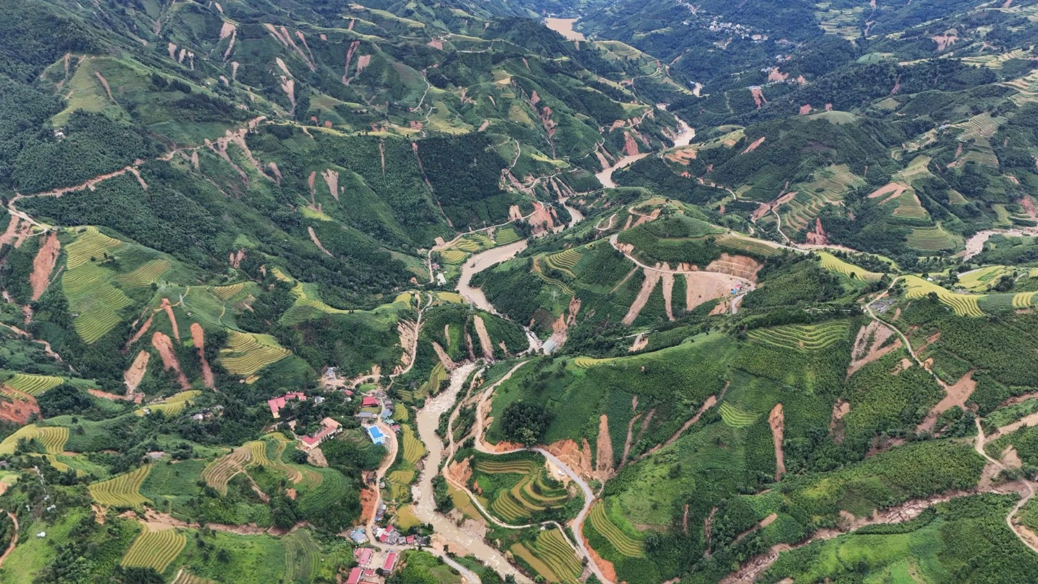nk.jpg