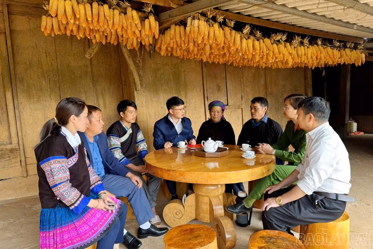 baolaocai-br_7.jpg