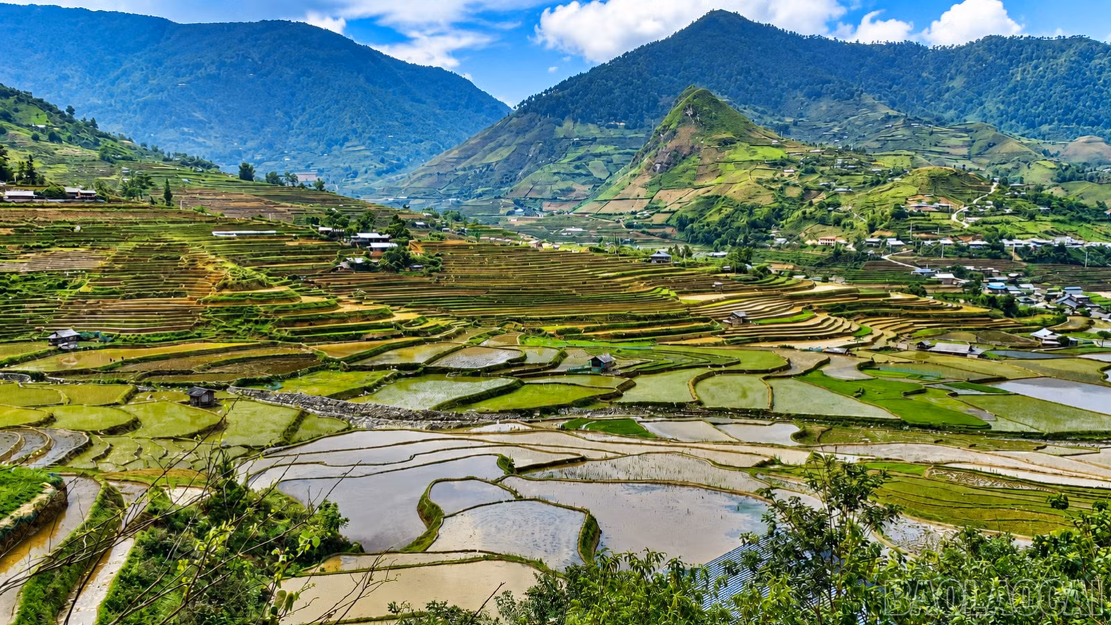 baolaocai-br_tu-le-9022.png