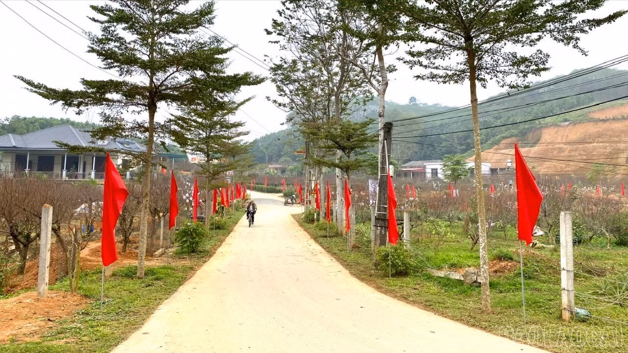 baolaocai-br_z7472636708556-36cb2ea117a965303385a239d90c920a-1332.jpg