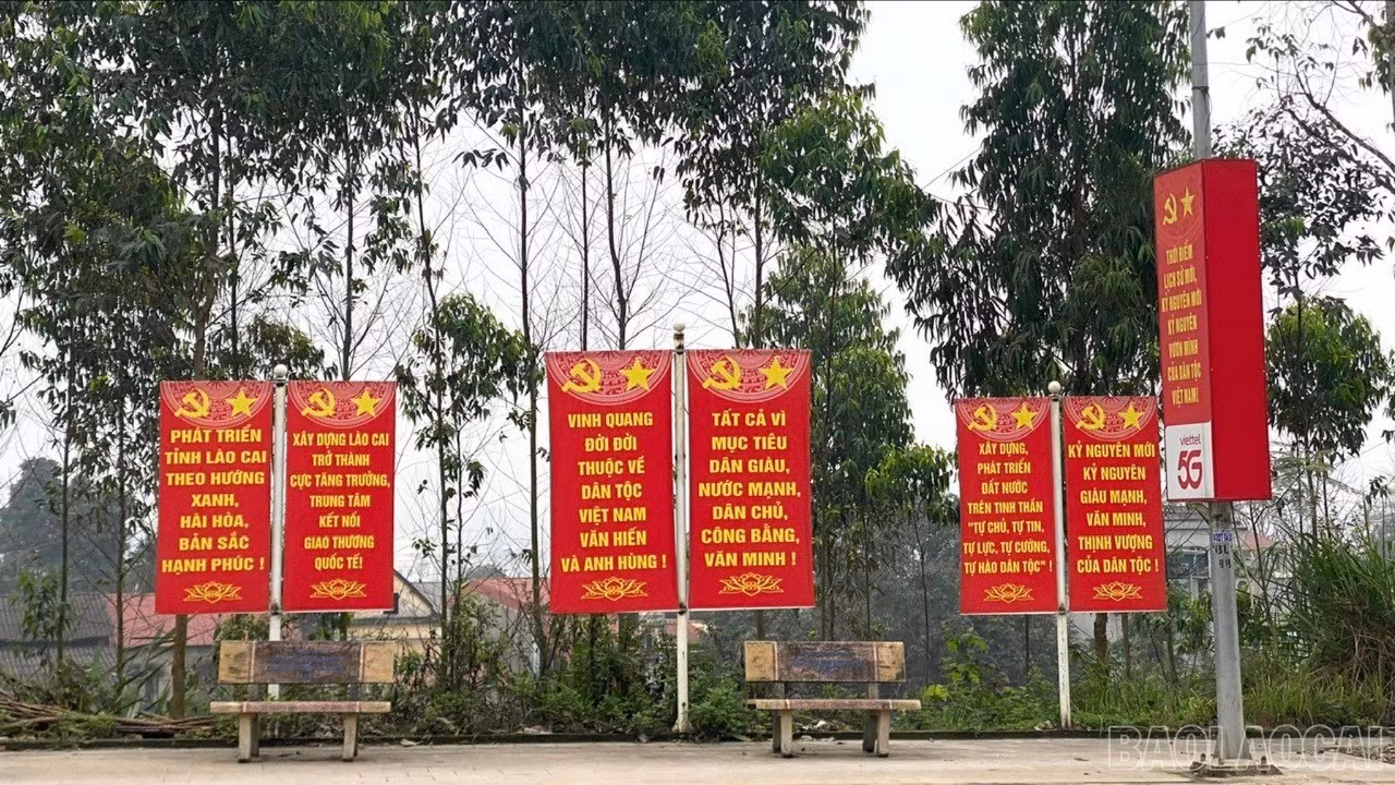 baolaocai-br_z7569991017244-3b1b7443a64496bc4068ac845e572ef1-429.jpg